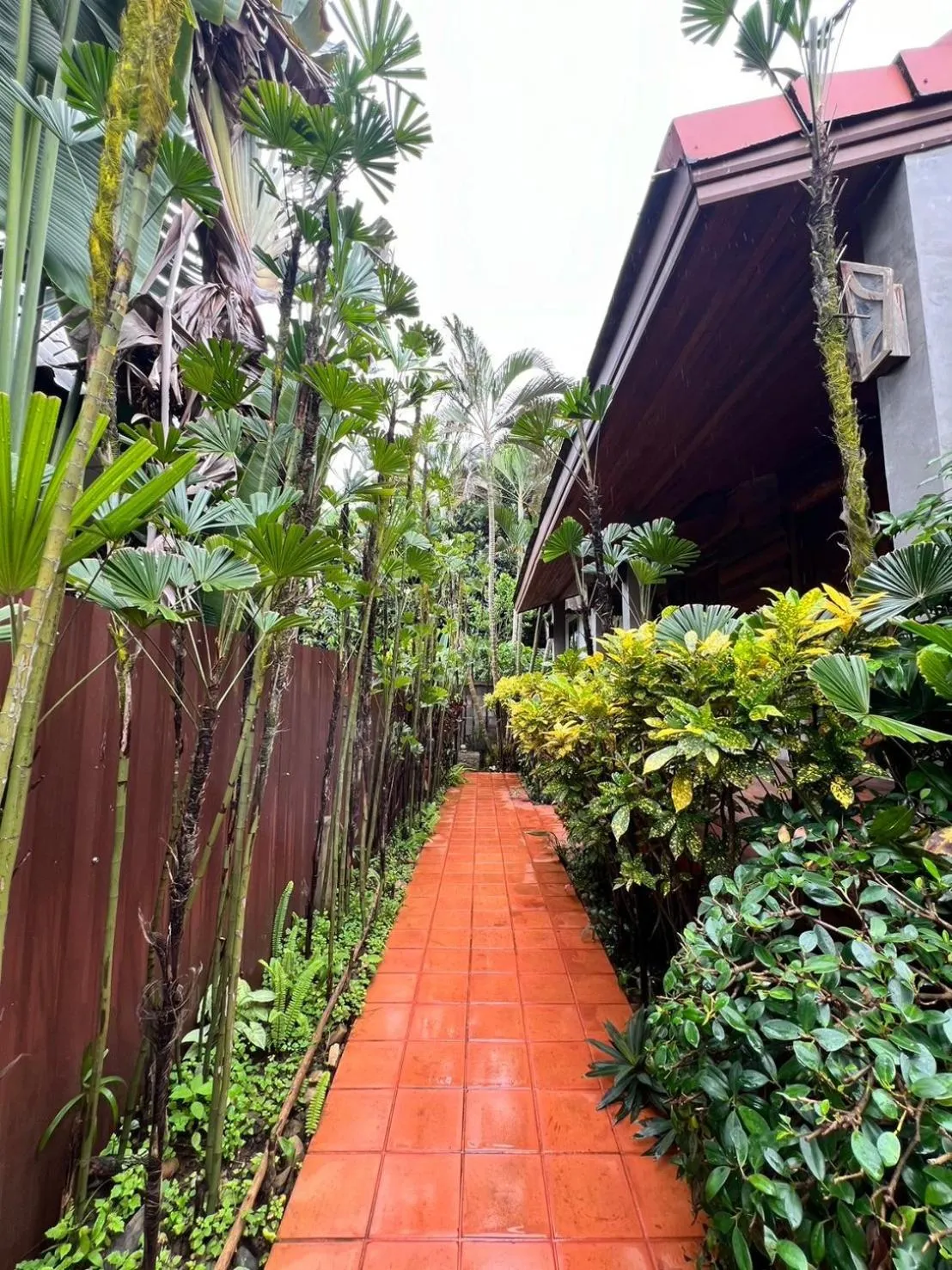 Garden in Yotaka@Pai