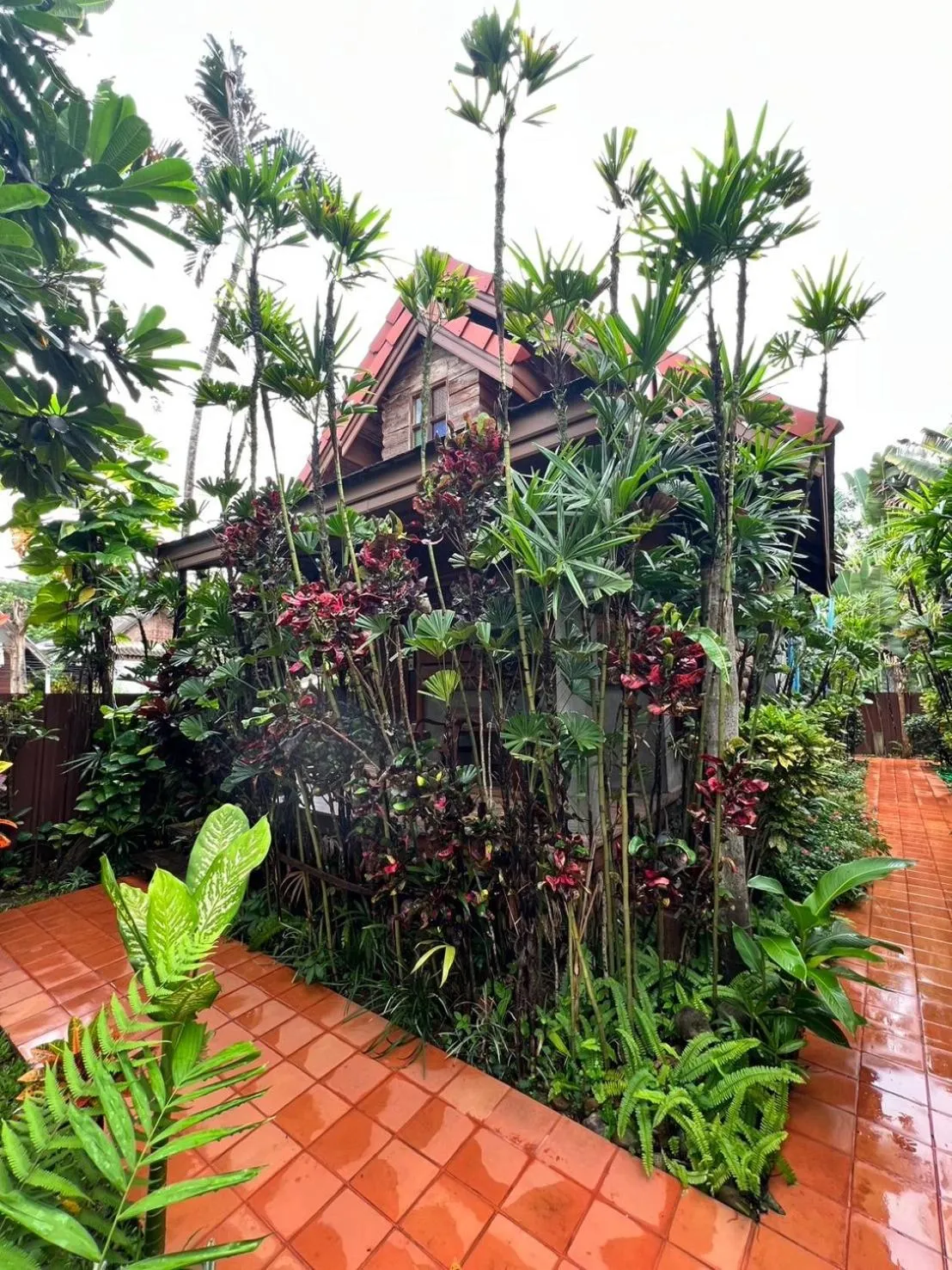 Garden in Yotaka@Pai