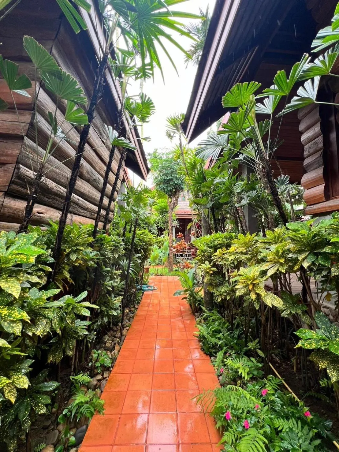 Garden in Yotaka@Pai