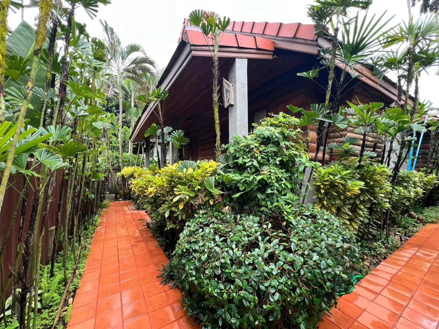 Garden in Yotaka@Pai