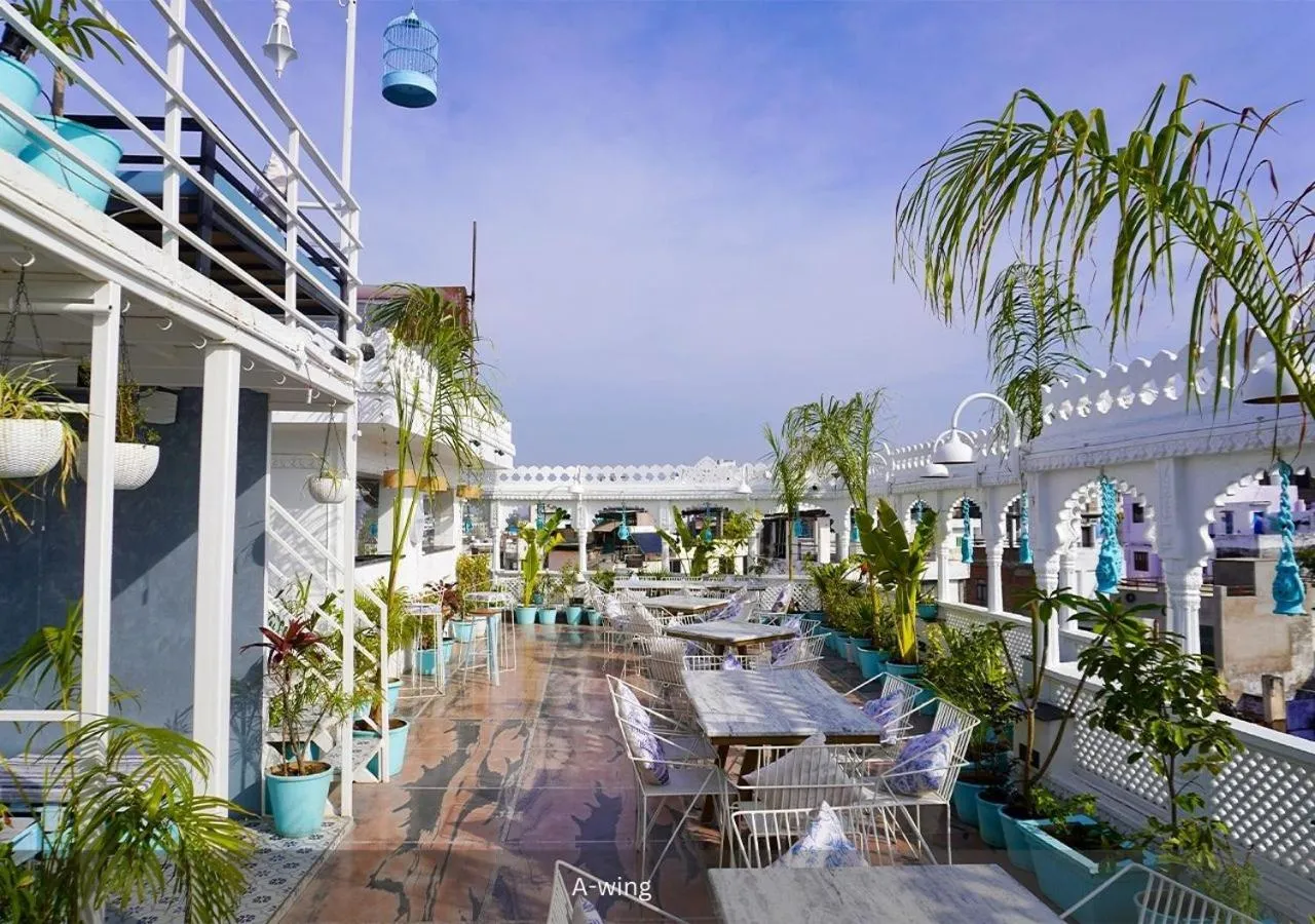 View (from property/room) in Moustache Udaipur