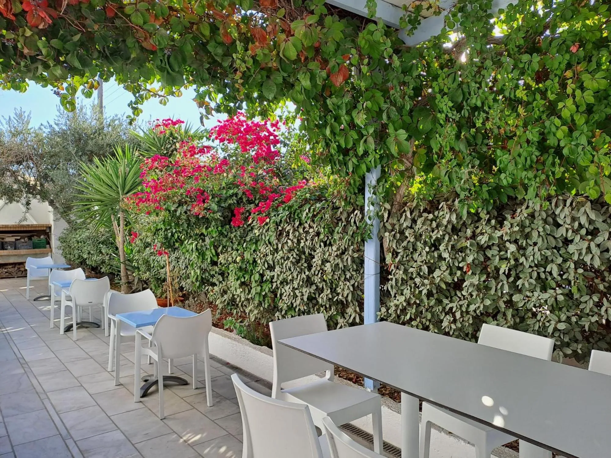 Garden in Stratos Apartments & Studios