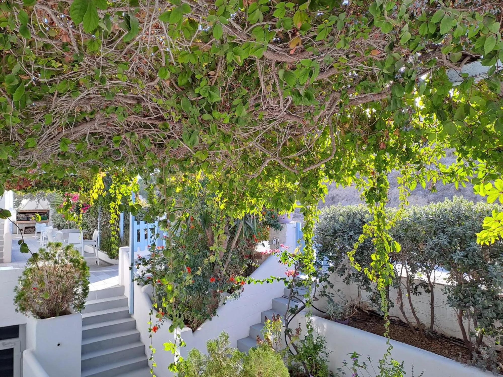 Garden in Stratos Apartments & Studios