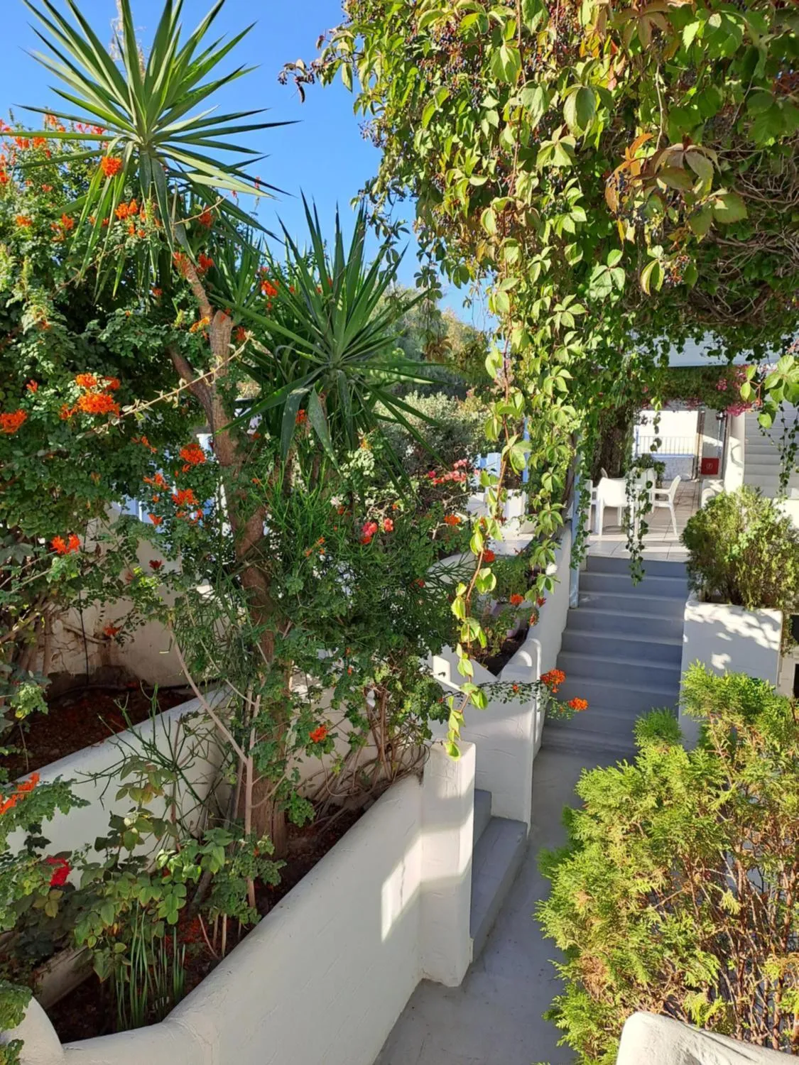 Garden in Stratos Apartments & Studios