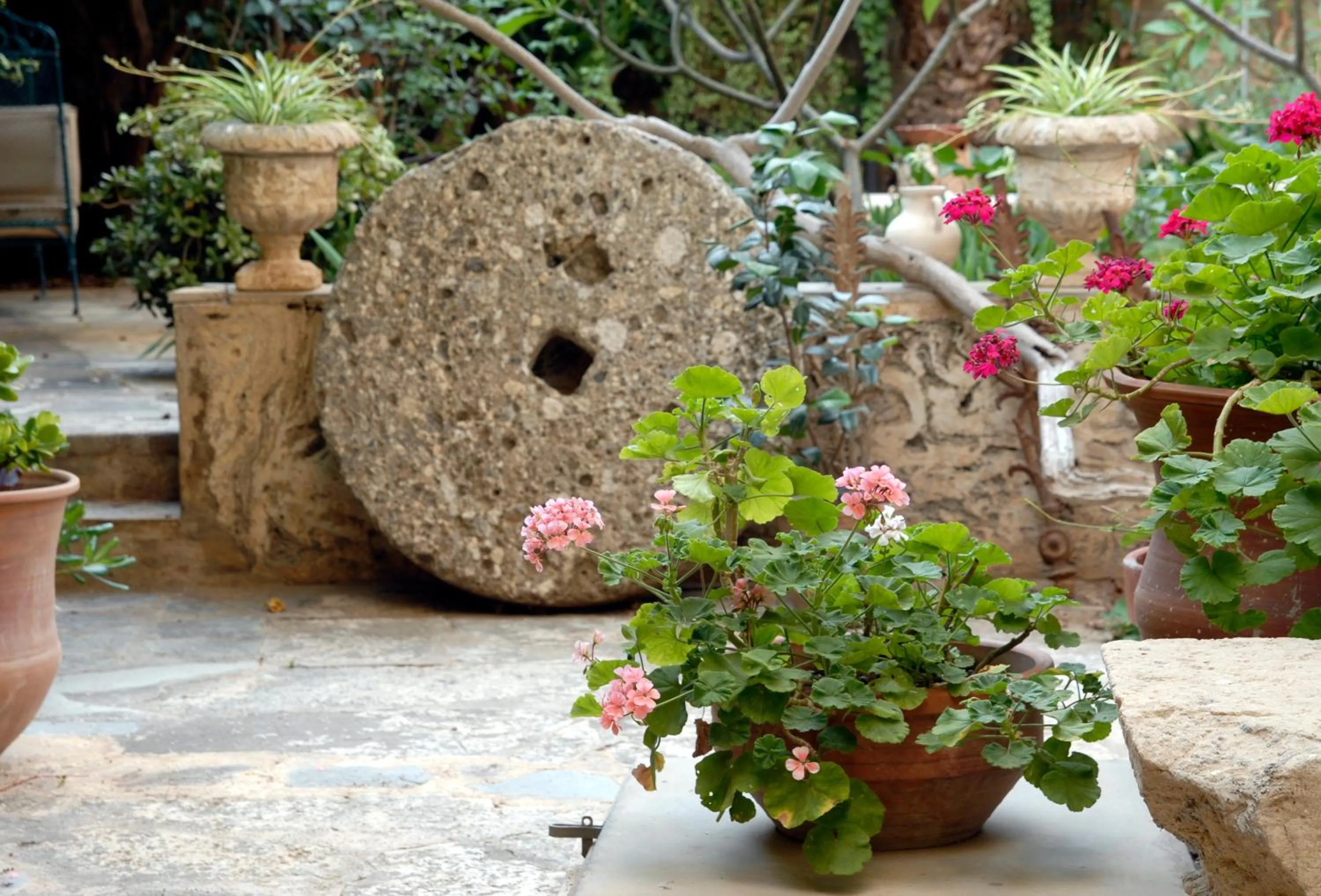 Garden in Doma Hotel