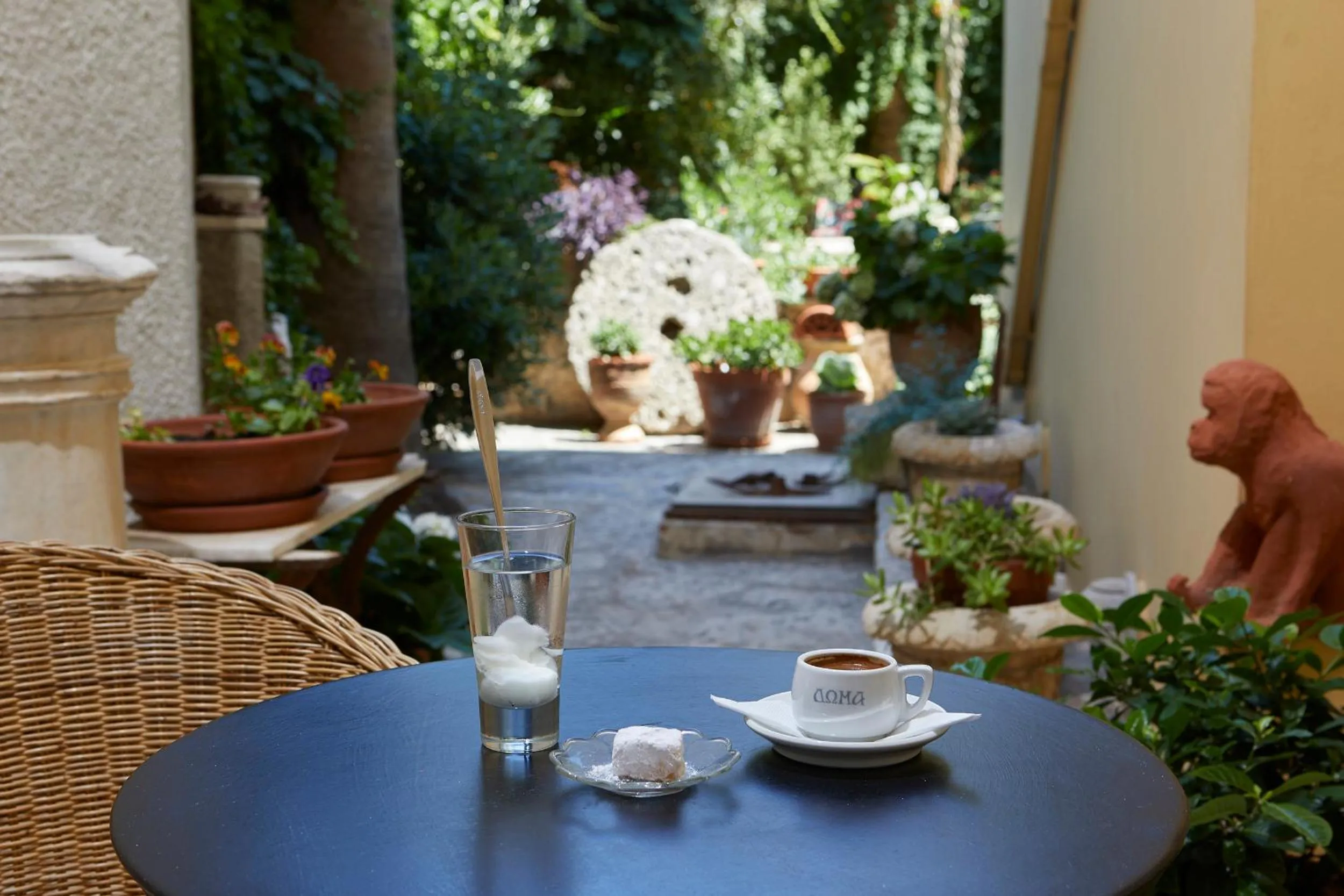 Garden in Doma Hotel