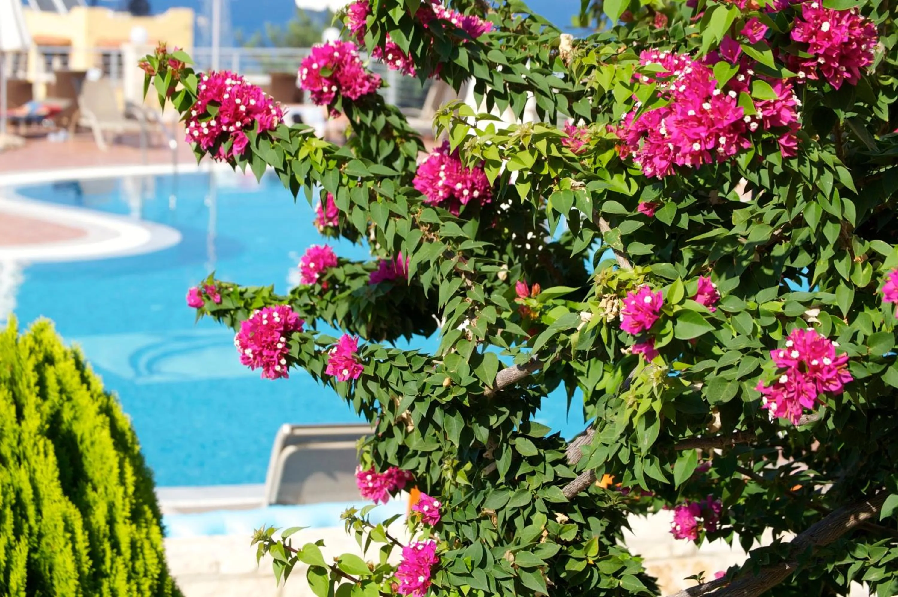 Swimming pool in Pilot's Villas Luxury Suites
