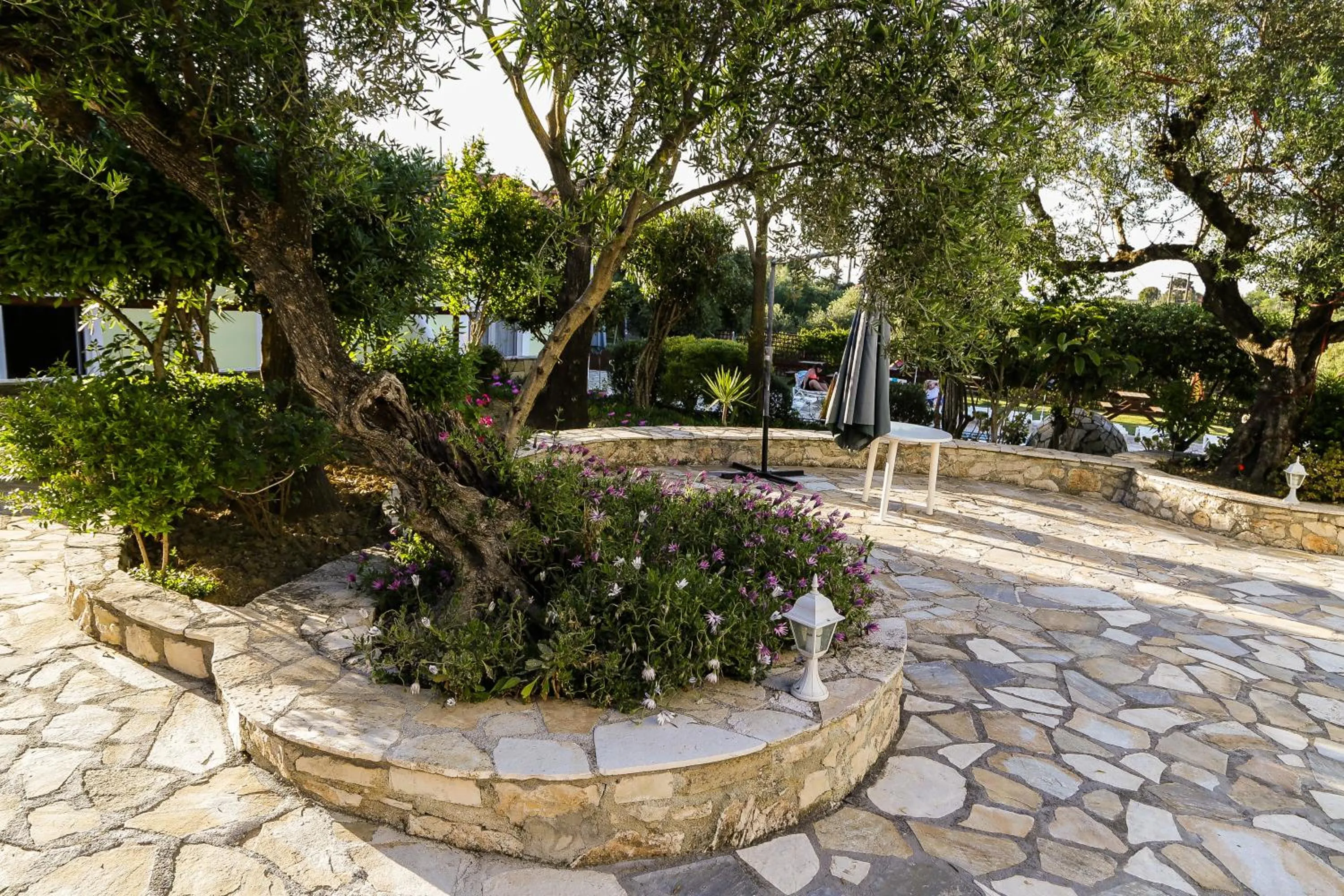 Garden in Seaview Apartments Tsilivi