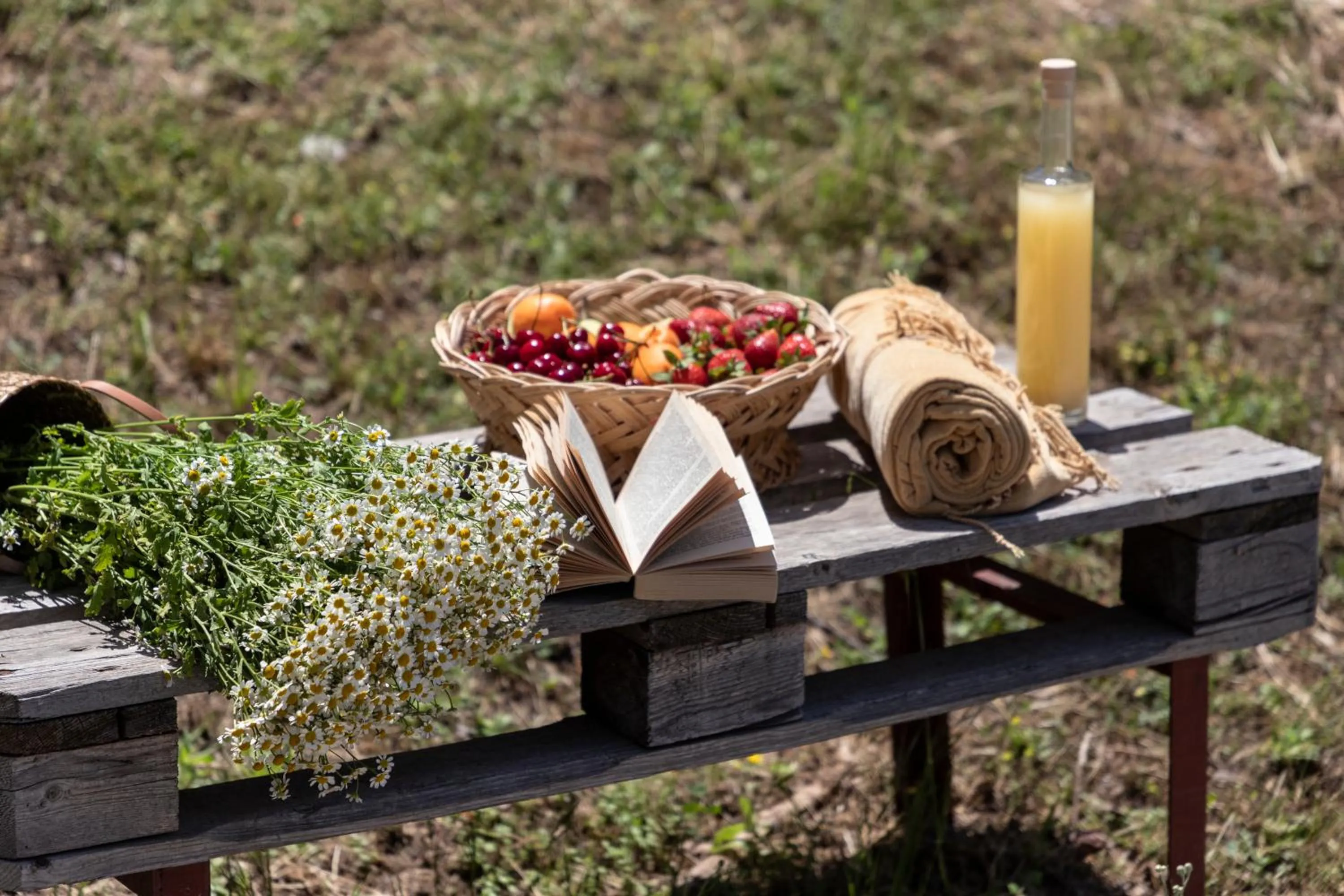 Garden in Amalia Hotel Meteora