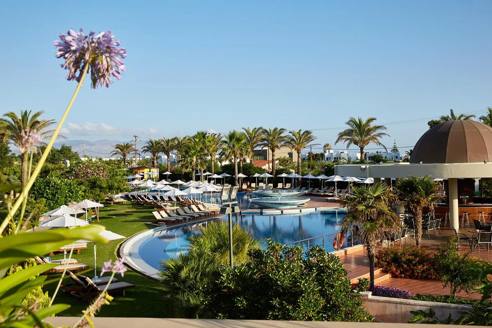 Lounge or bar in Minoa Palace Resort