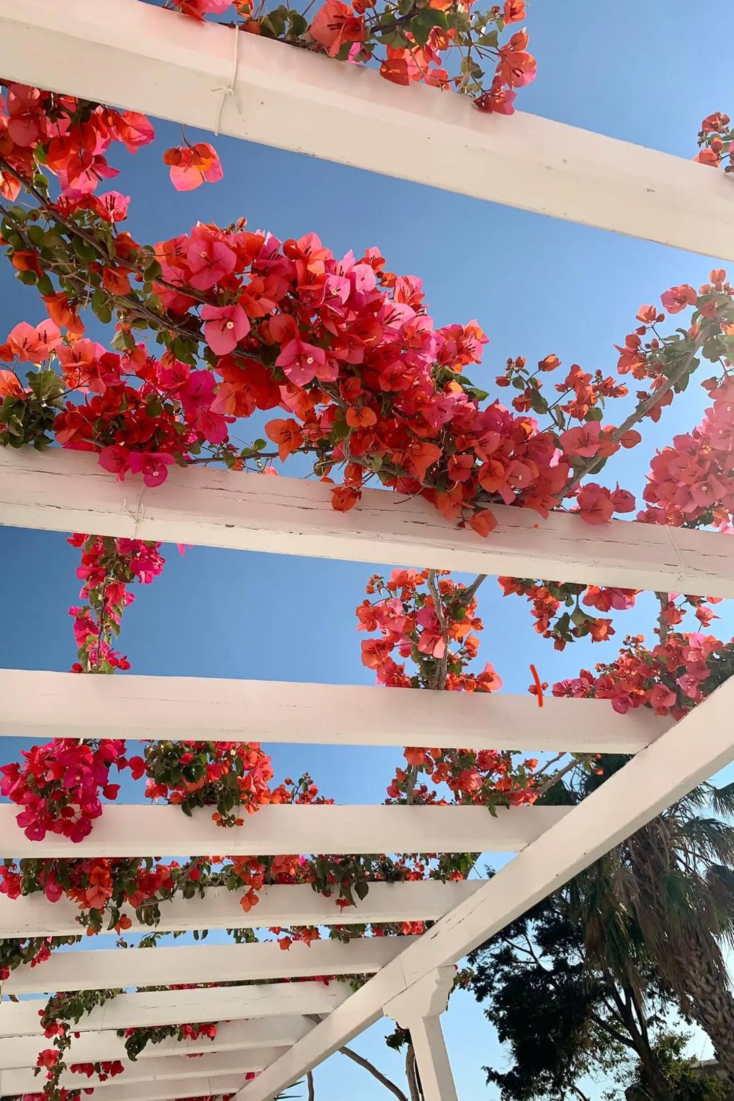 Balcony/Terrace in Hotel Aegeon