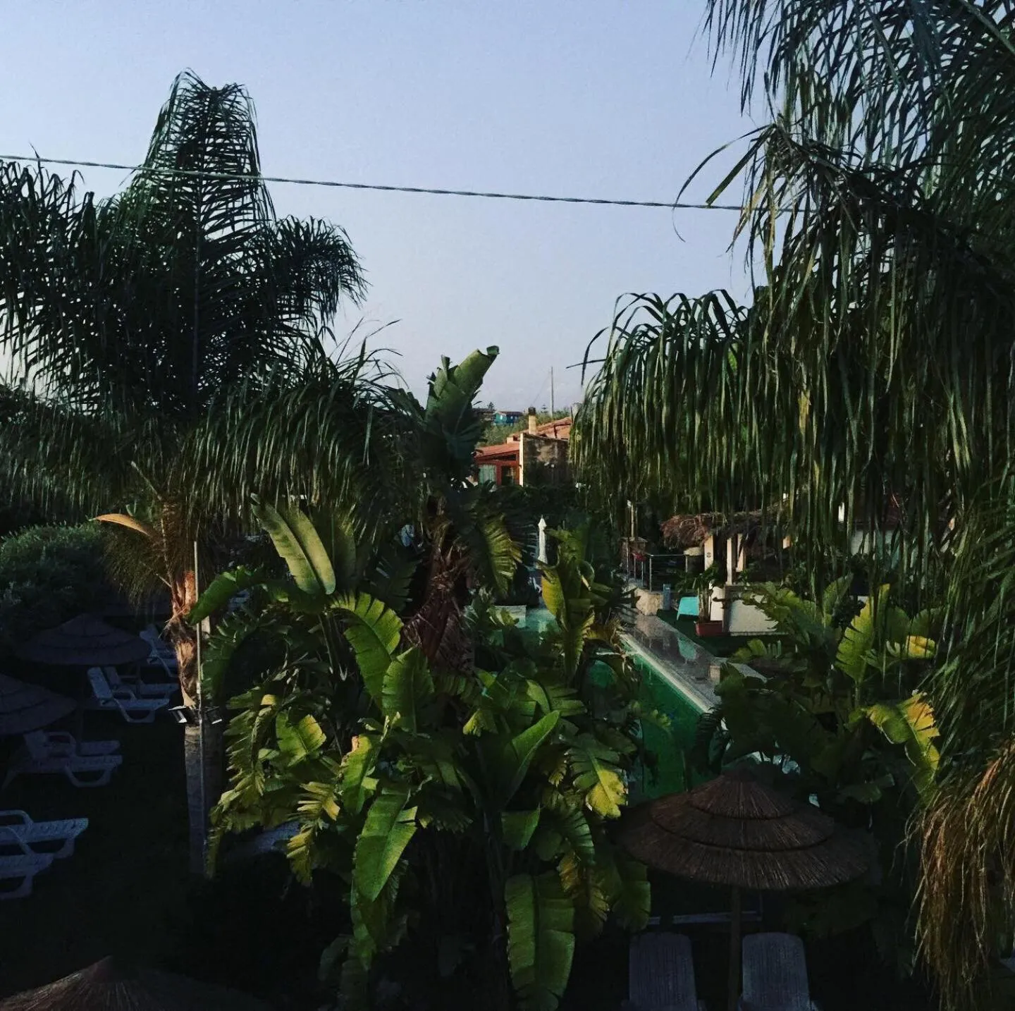 Garden in Saija Resort