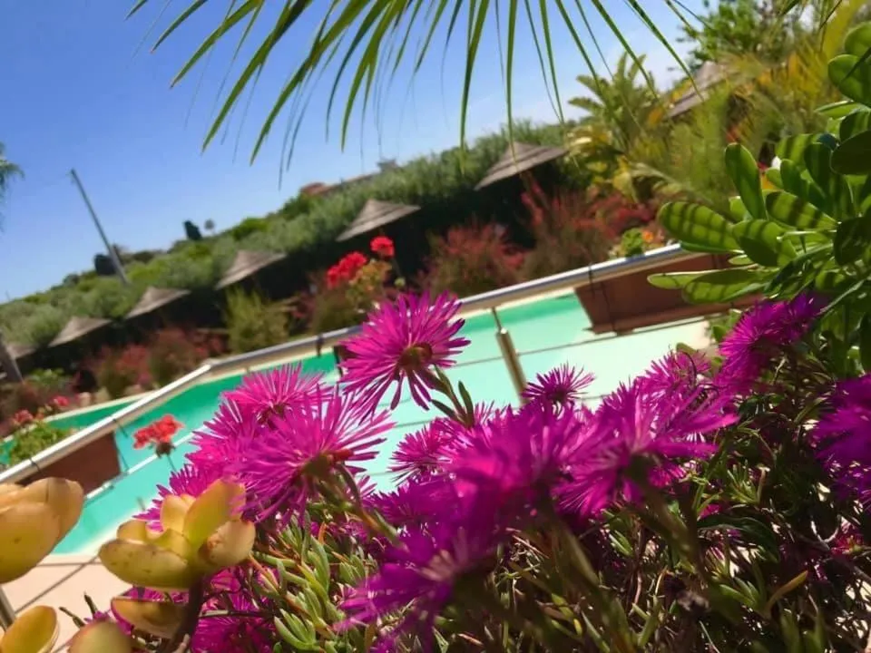 Pool view in Saija Resort