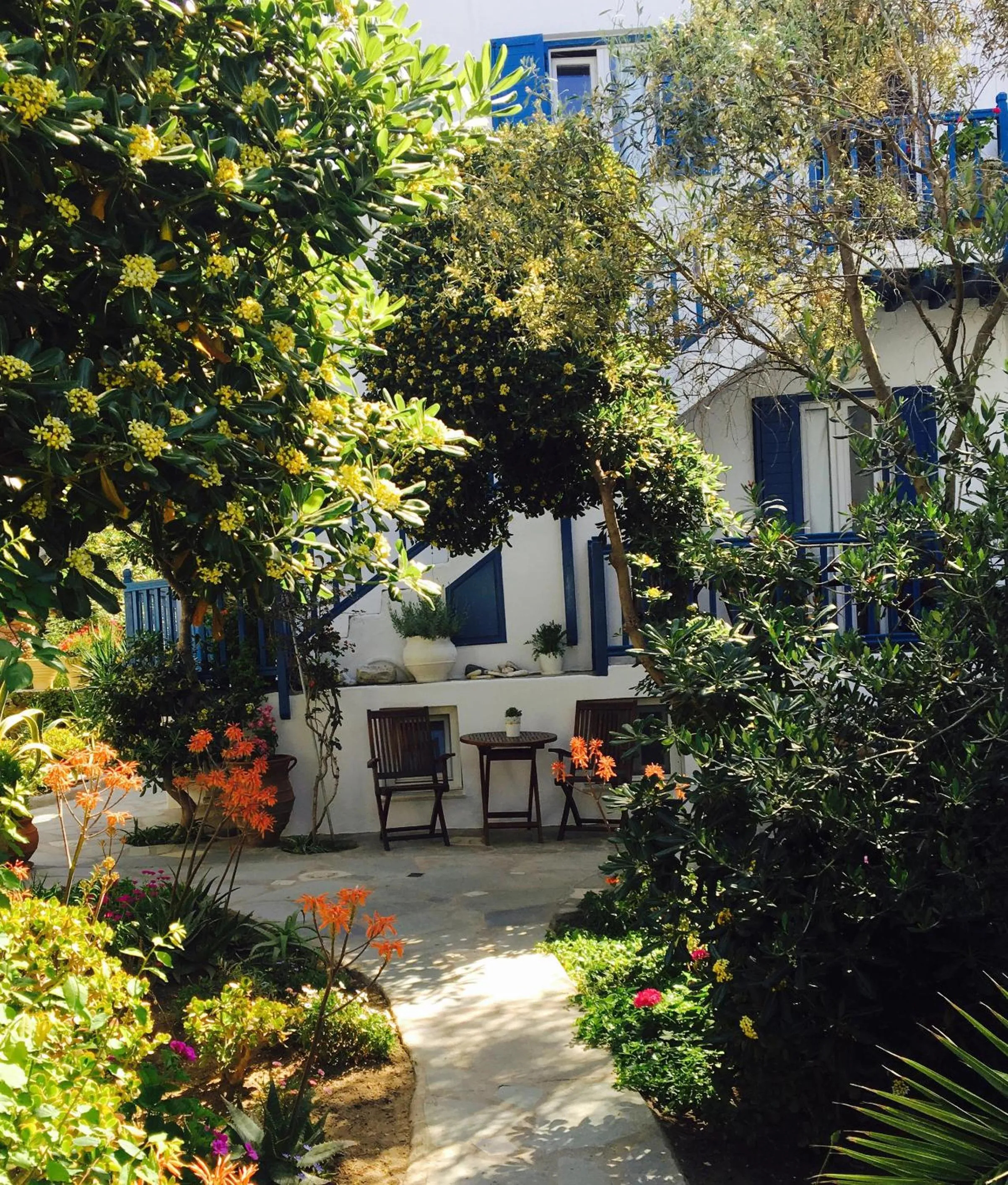 Garden in Matina Hotel