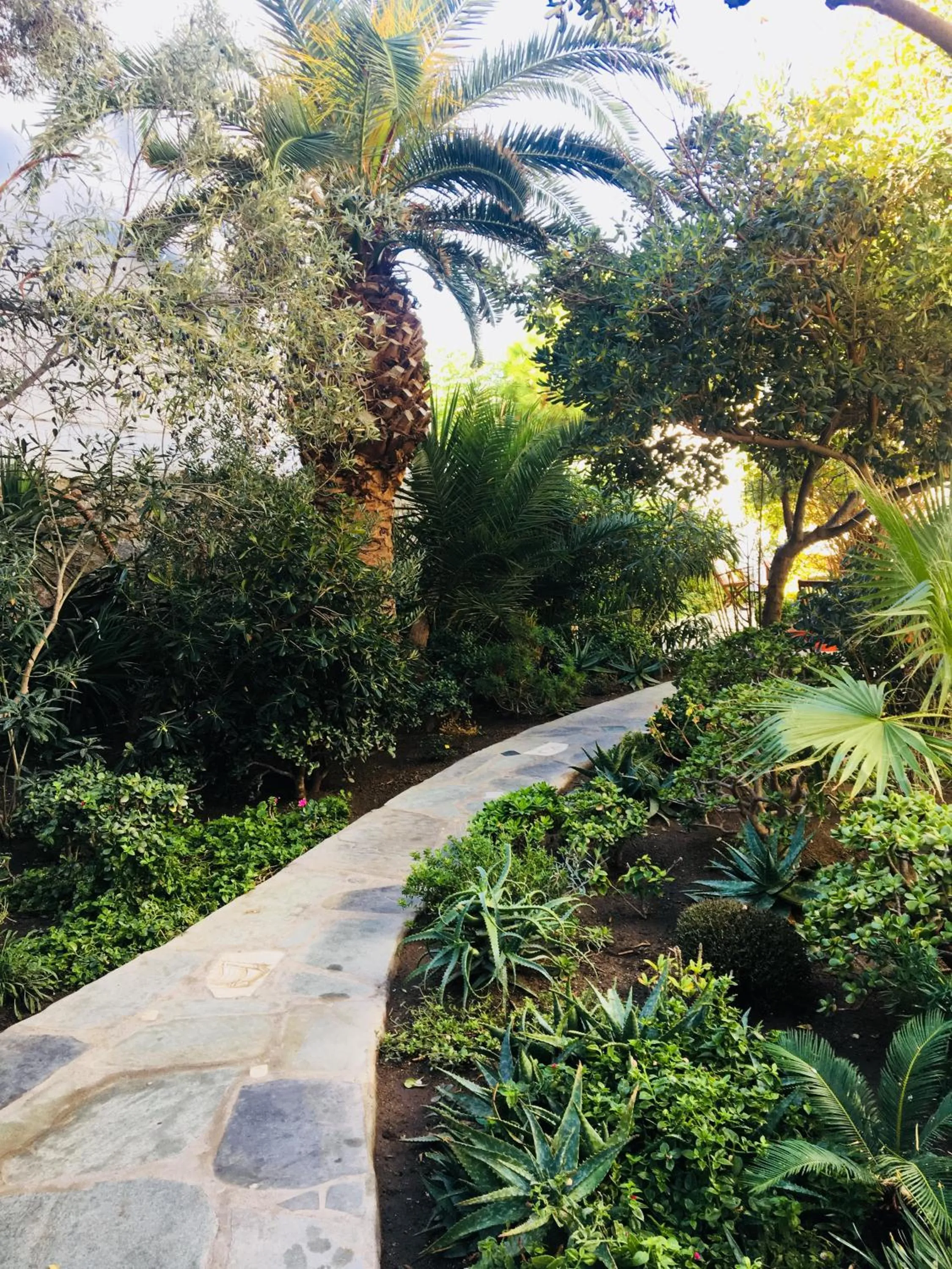 Garden in Matina Hotel