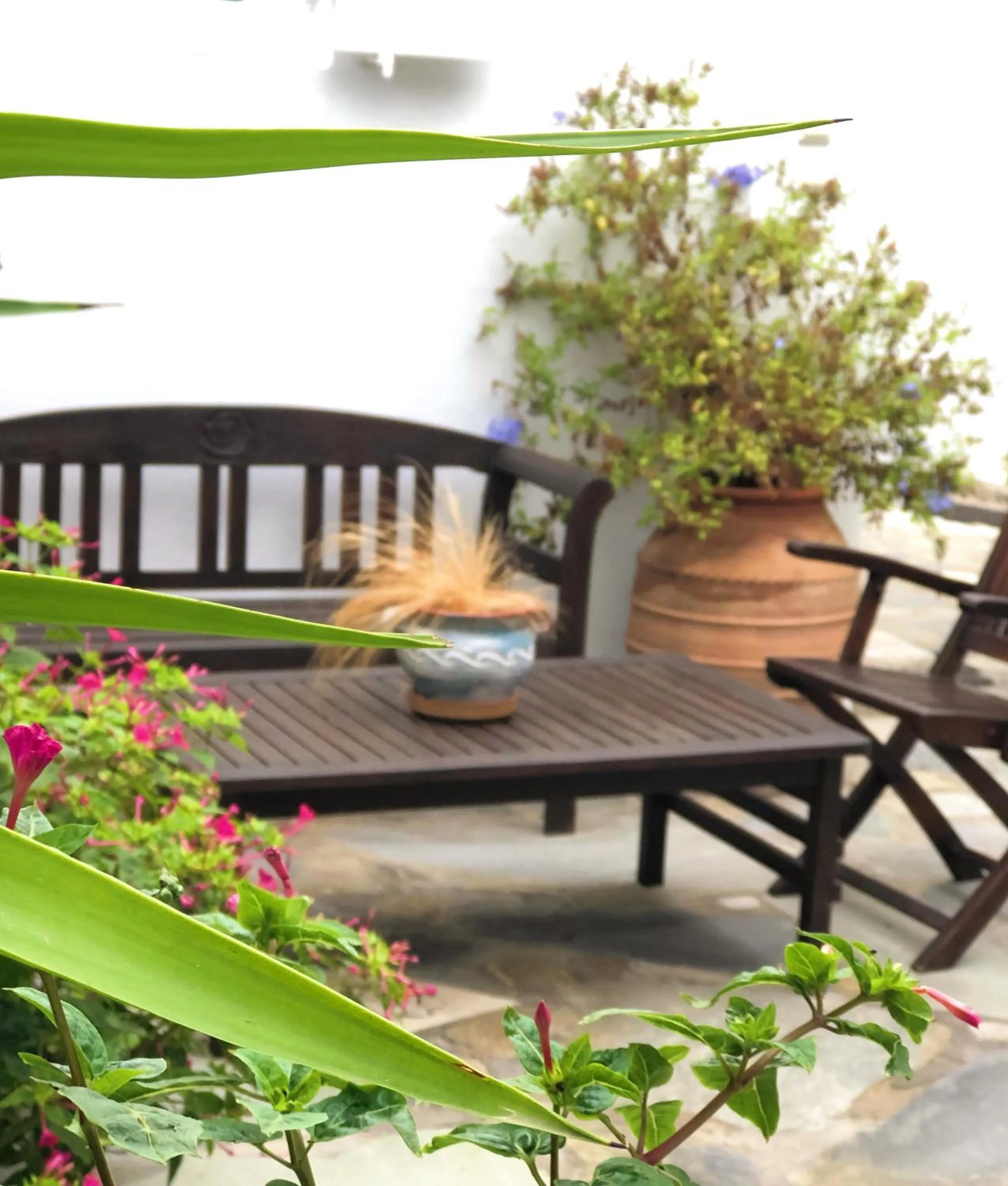 Garden in Matina Hotel