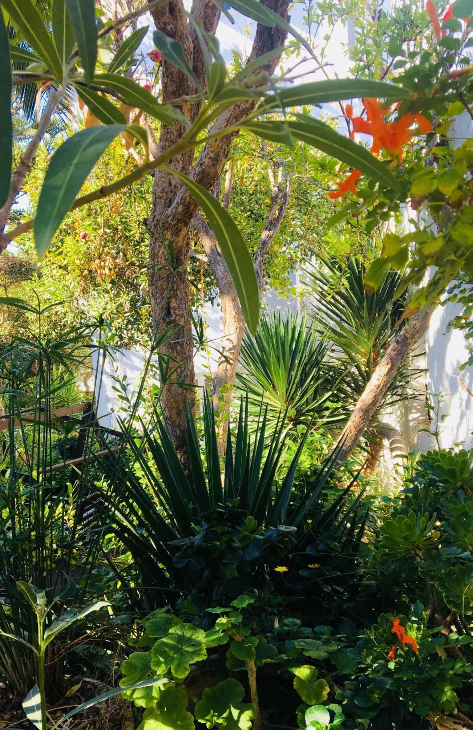 Natural landscape in Matina Hotel