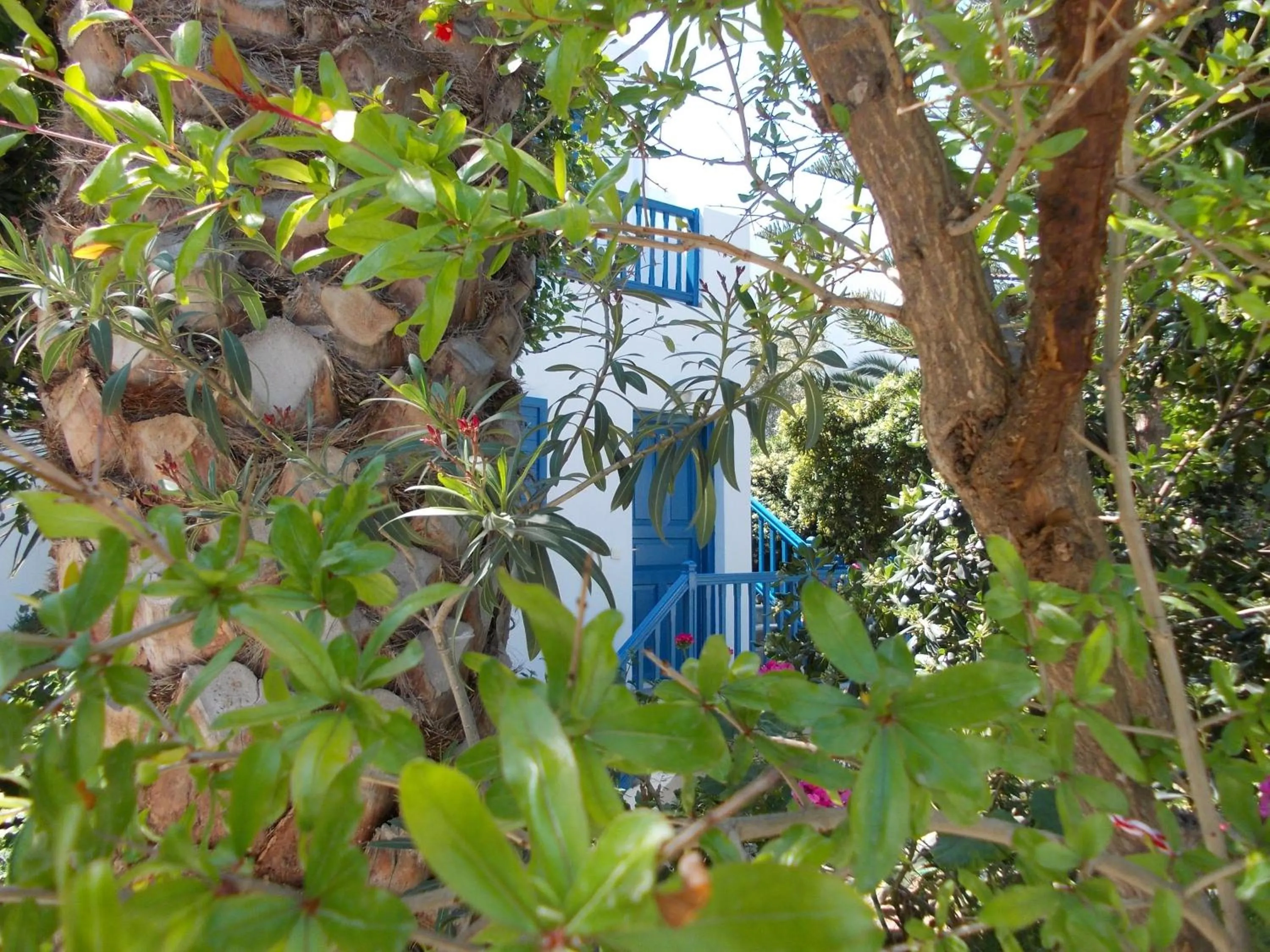 Garden in Matina Hotel