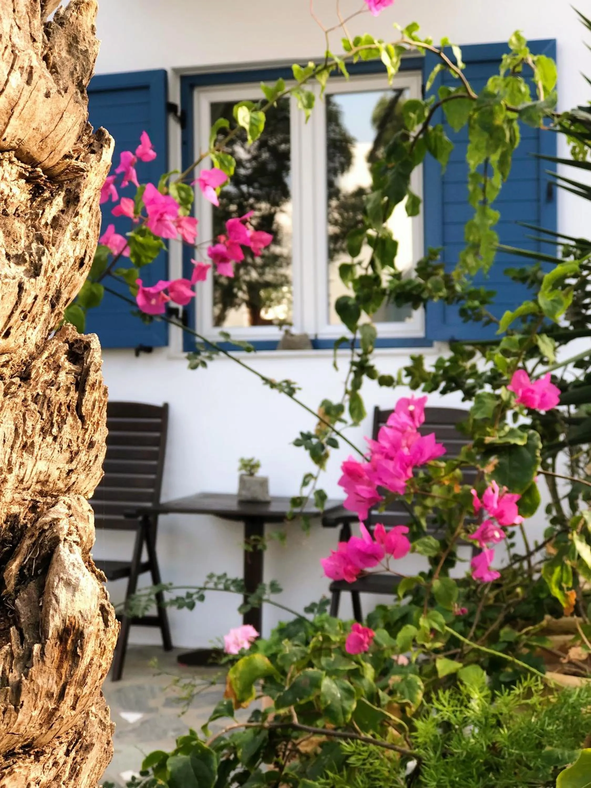 Seating area in Matina Hotel