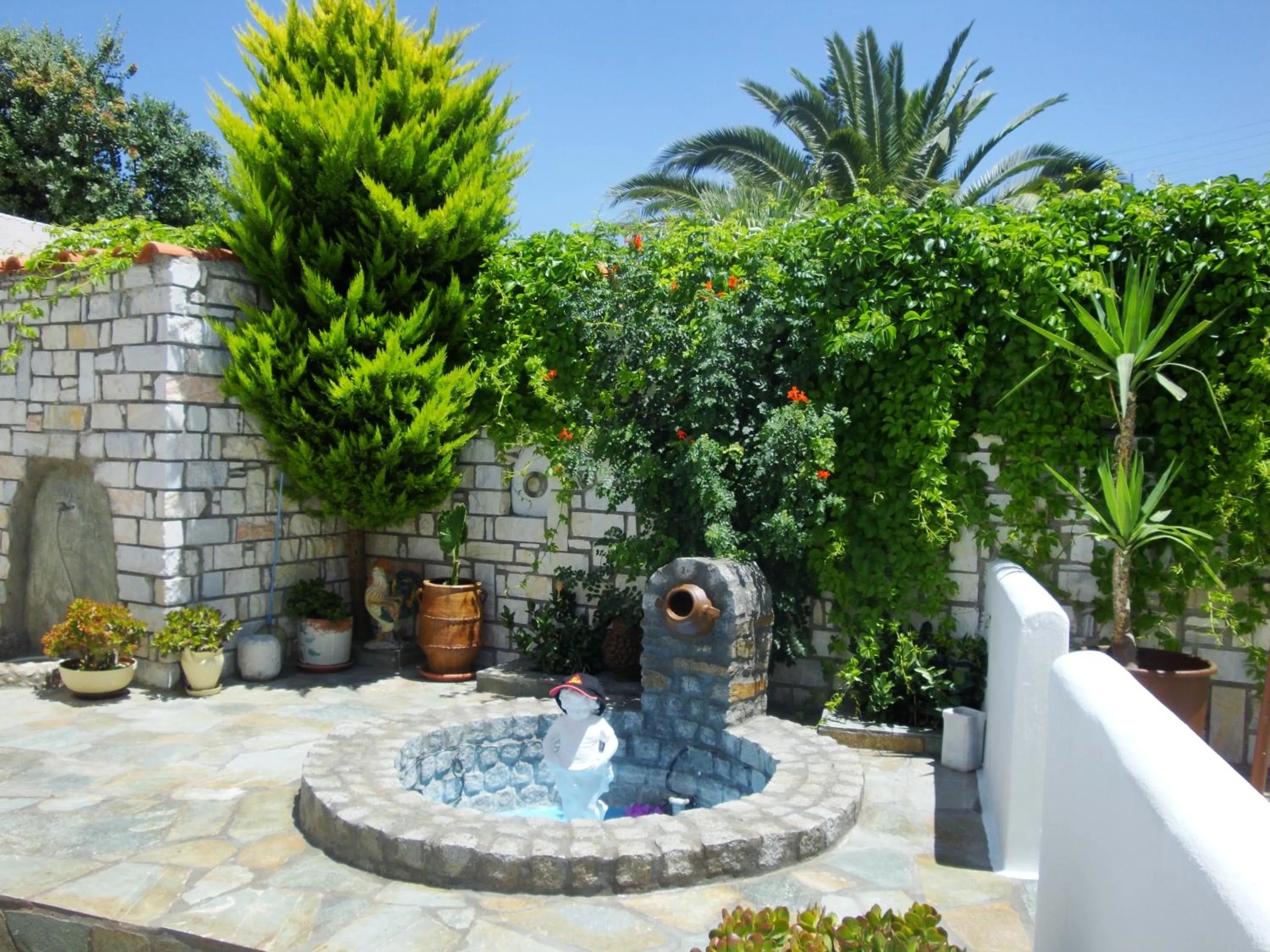 Garden in Vassiliki Rooms