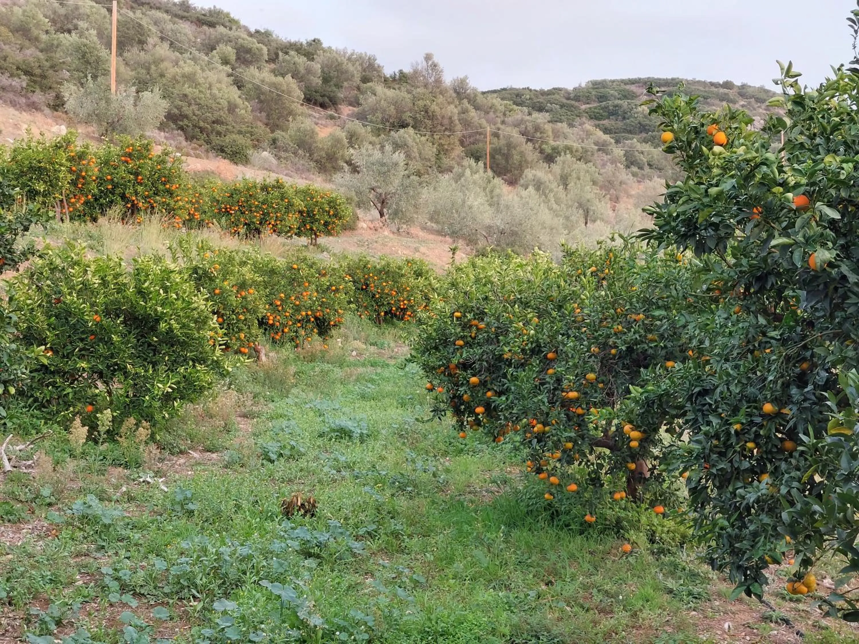 Day in Perivoli Country Hotel & Retreat