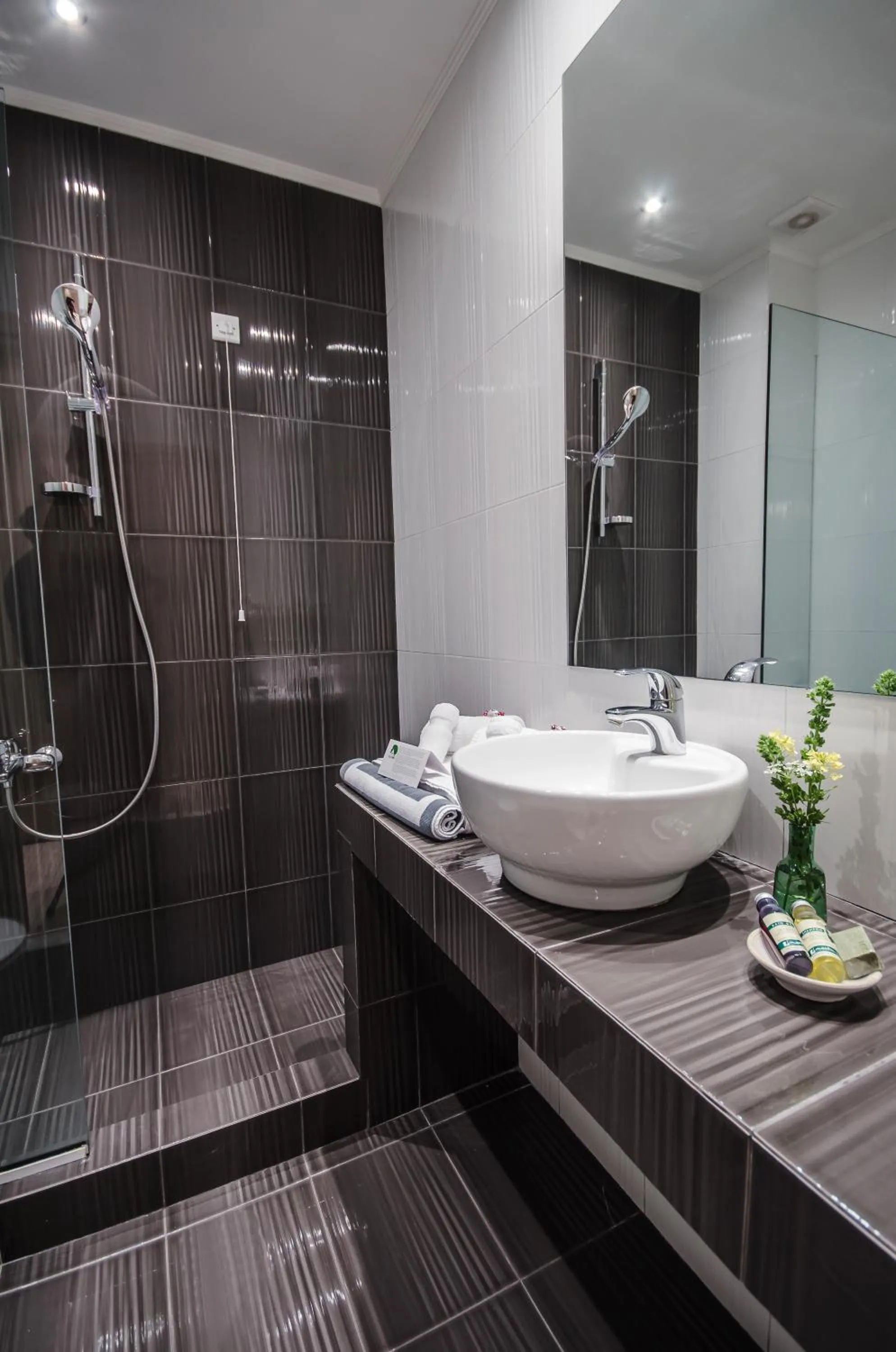 Shower in Perivoli Country Hotel & Retreat