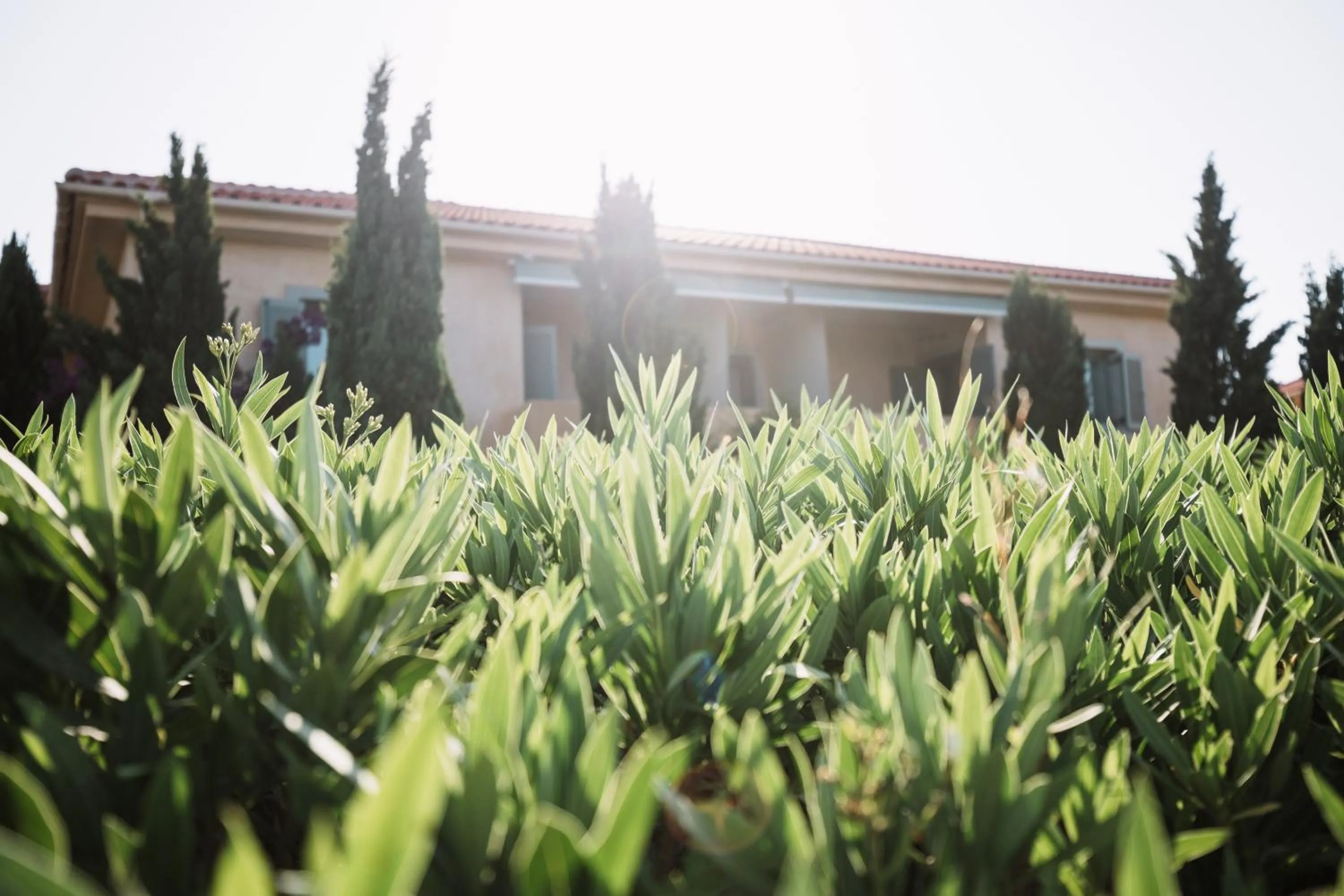 Emelisse Nature Resort