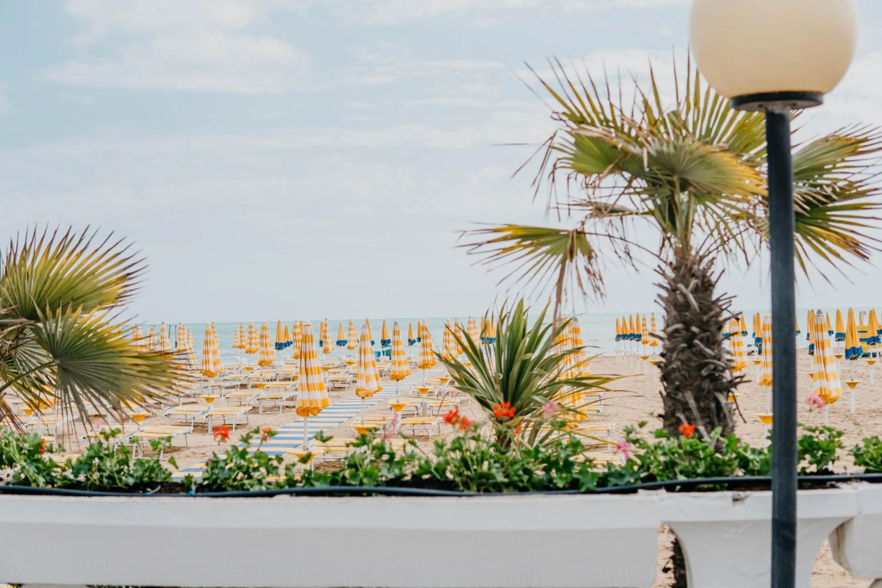 Beach in Hotel Marina