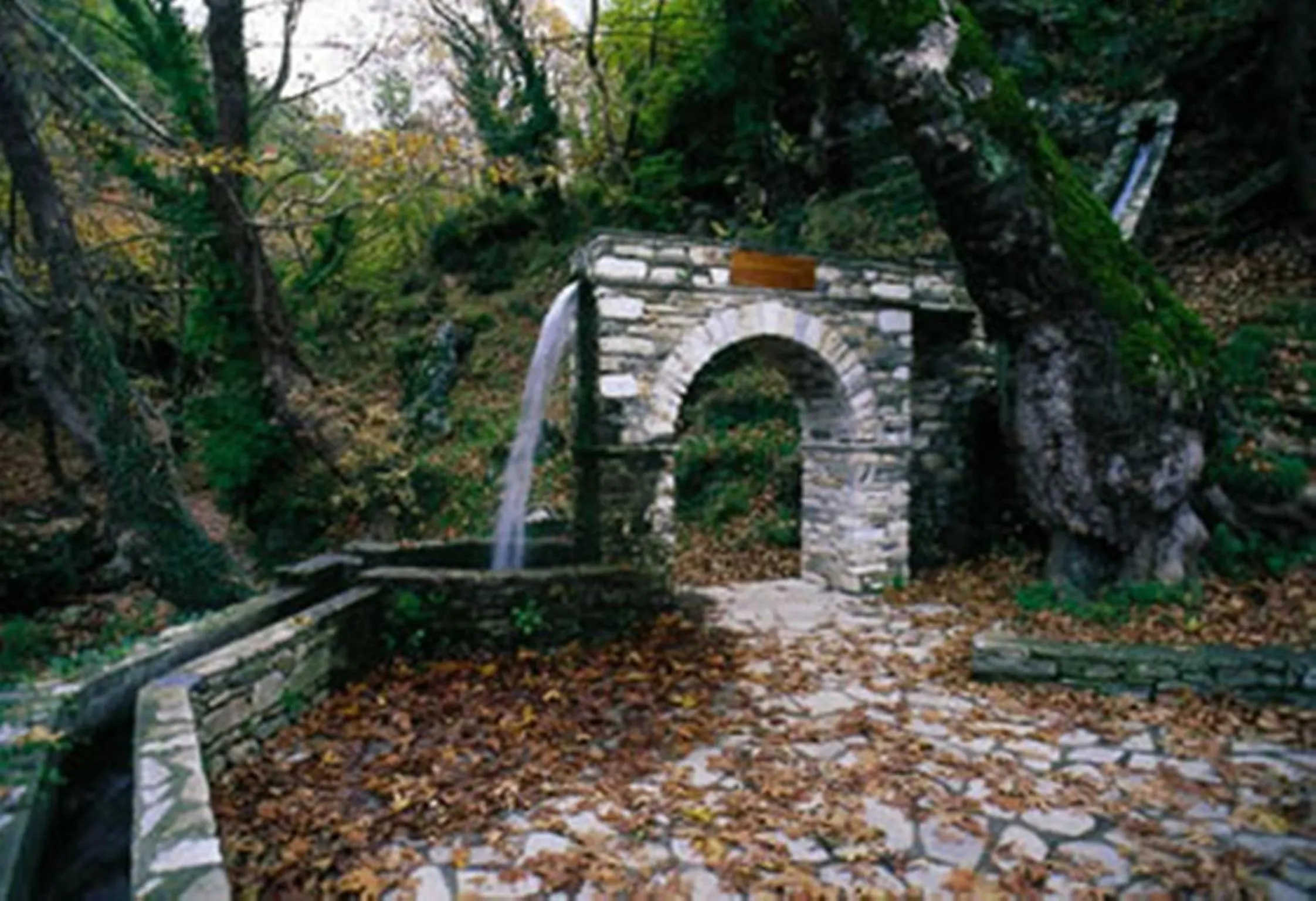 Nearby landmark in Hotel Pelion Resort