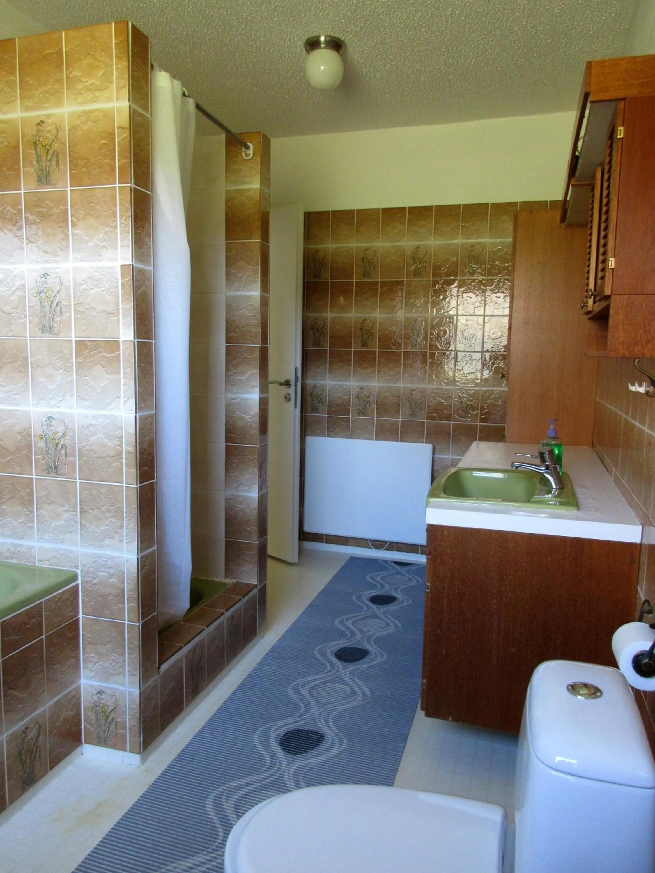 Bathroom in Rauðaberg II