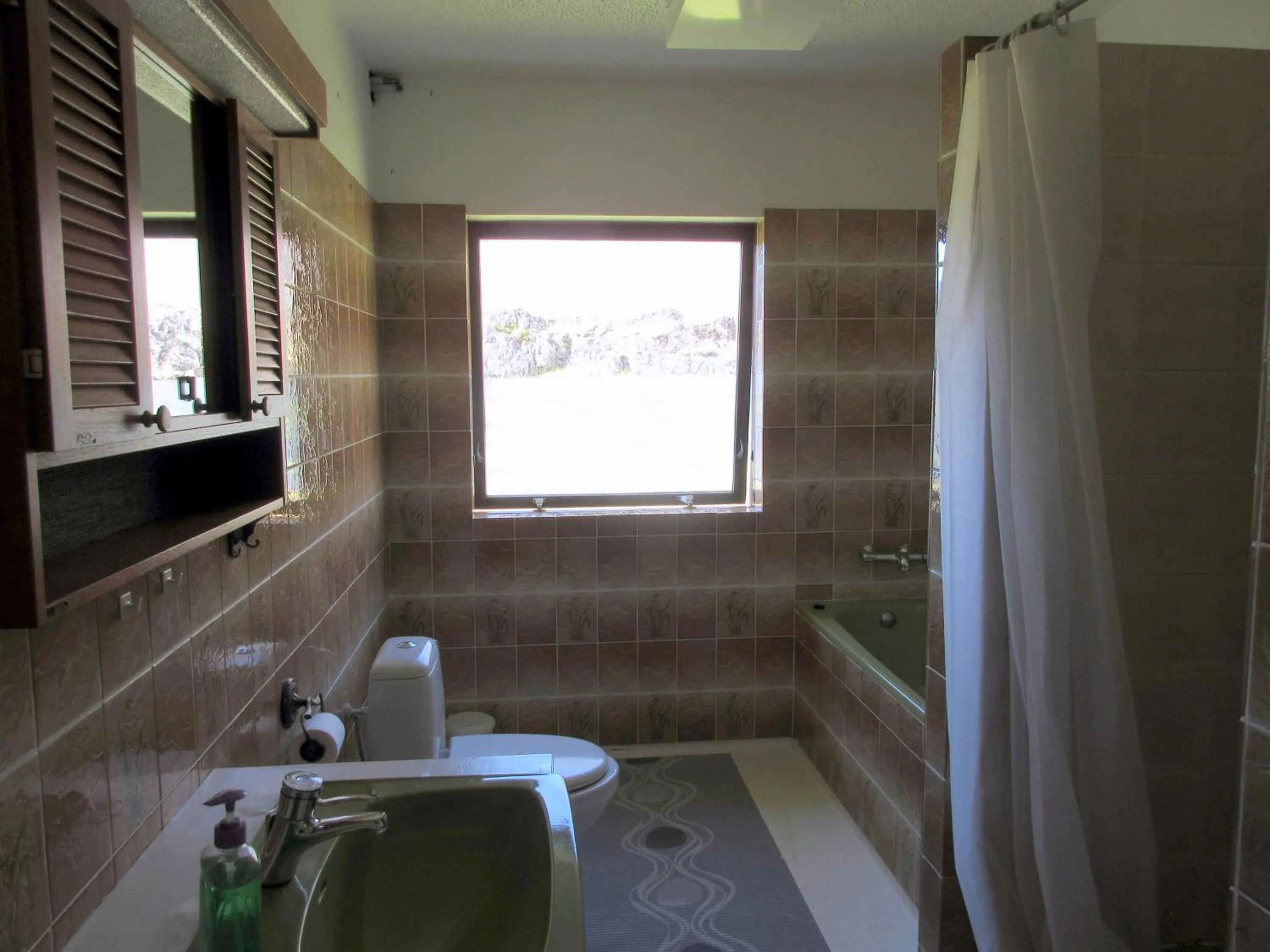 Bathroom in Rauðaberg II