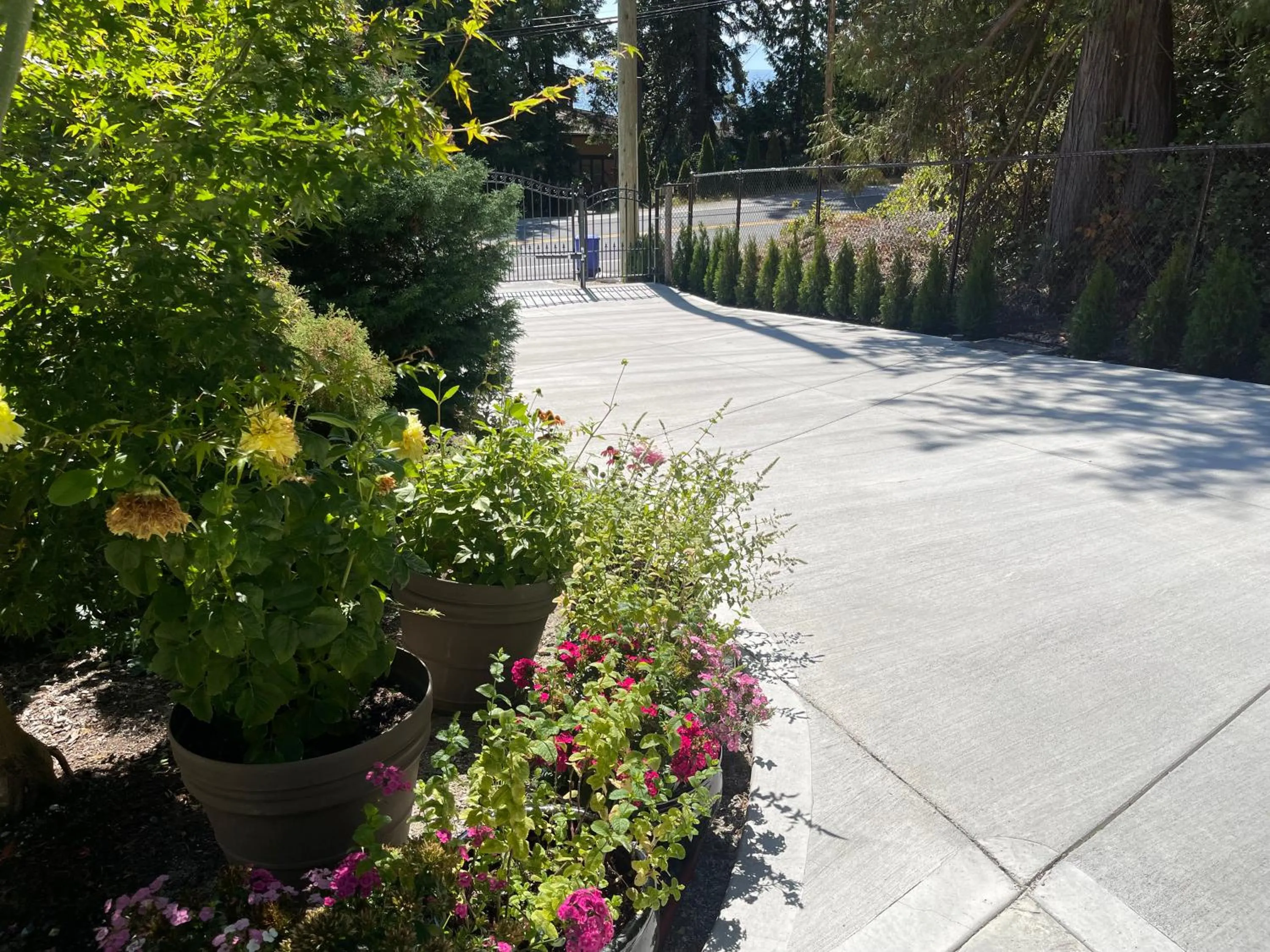 Garden view in Garden Bridge House