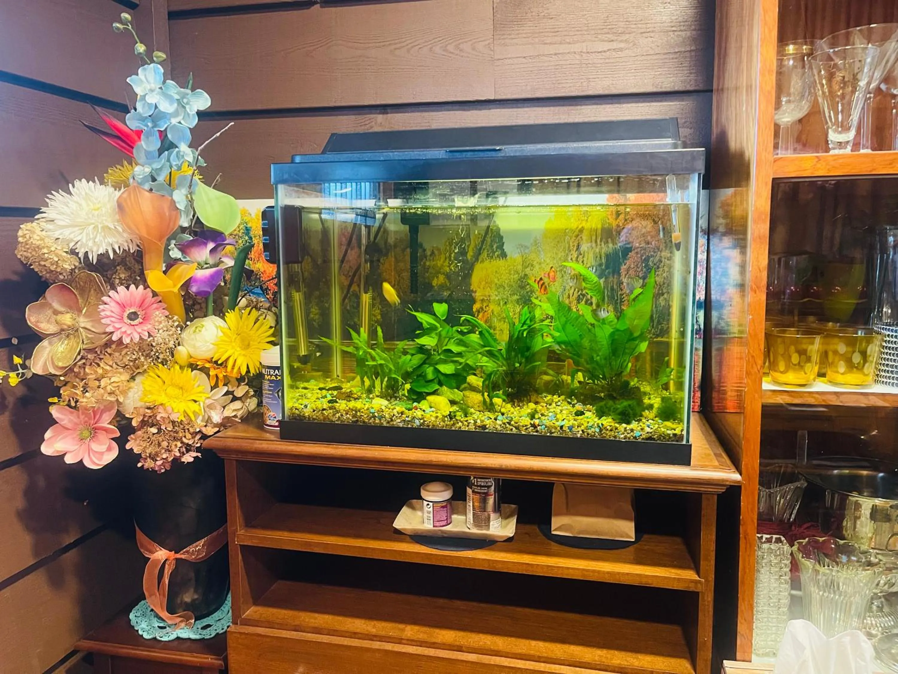 Animals in Garden Bridge House