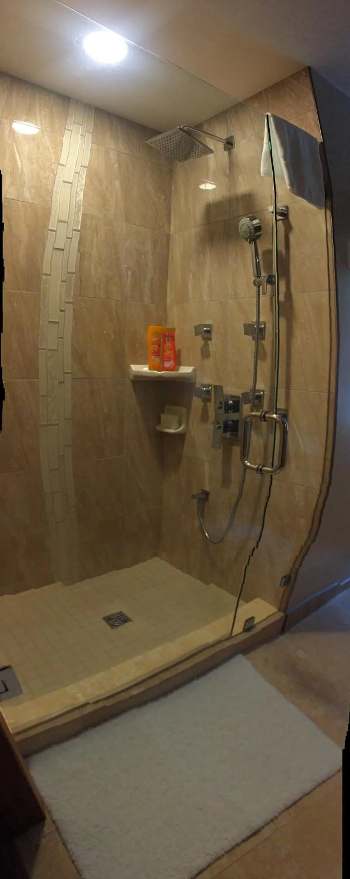 Shower in Garden Bridge House