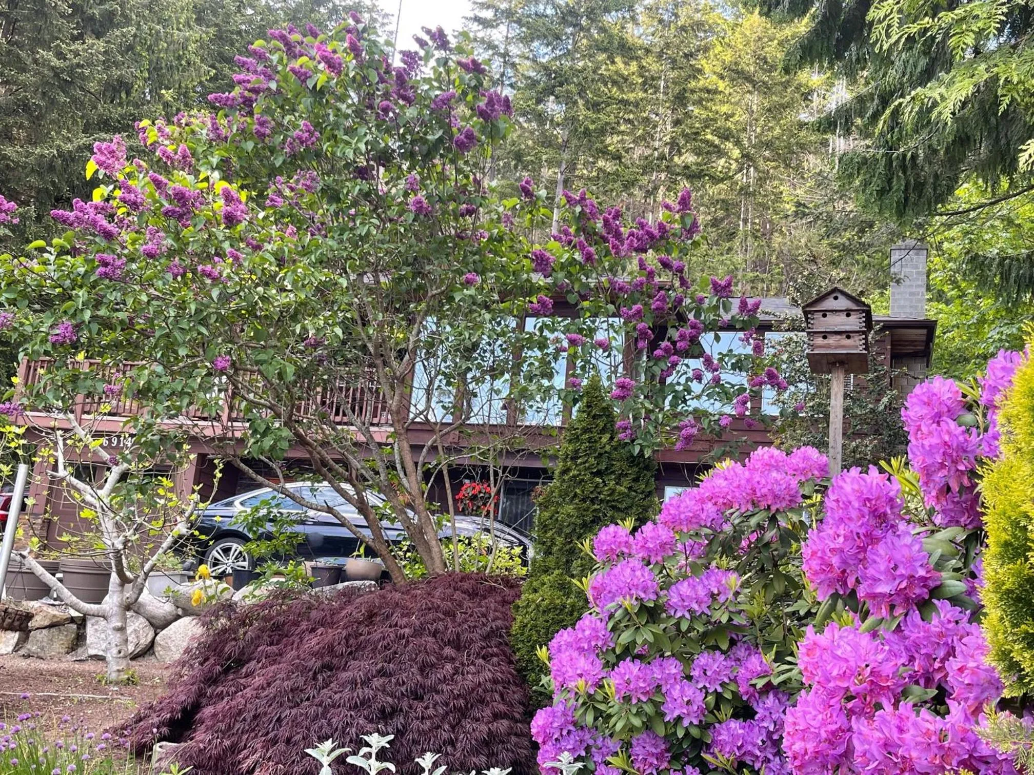 Spring in Garden Bridge House