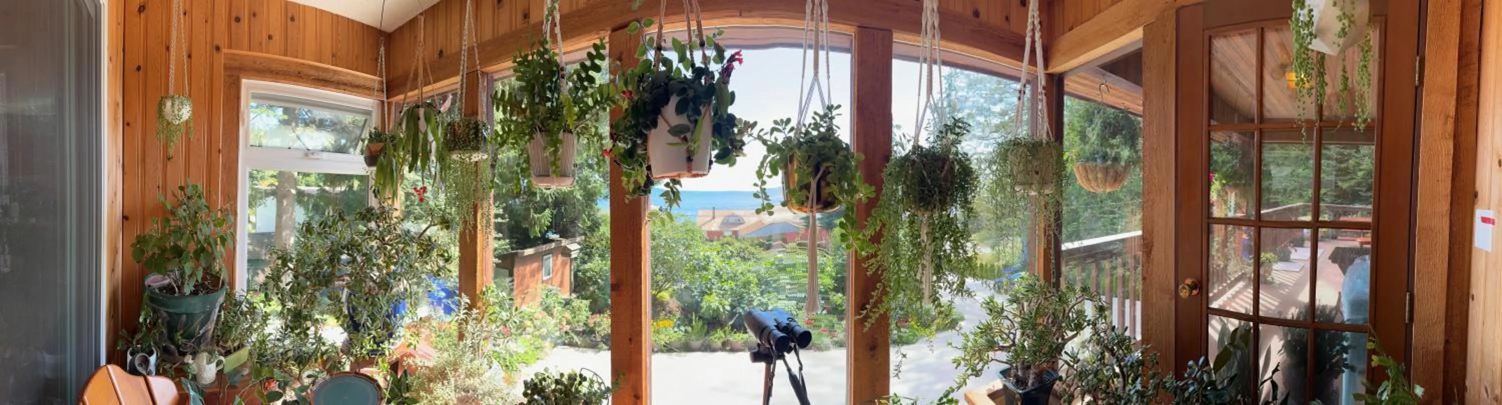 Property building in Garden Bridge House