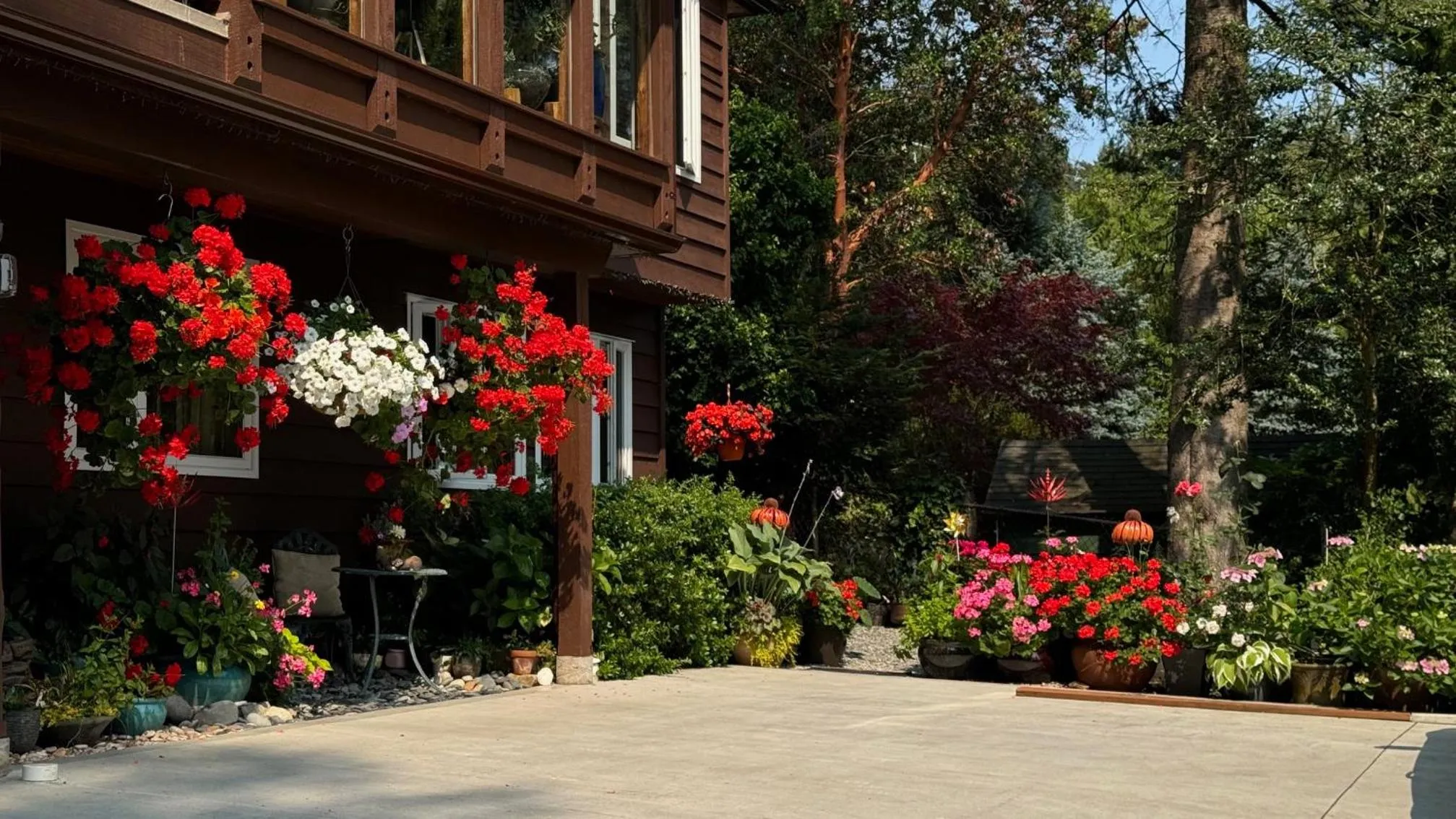 Garden in Garden Bridge House