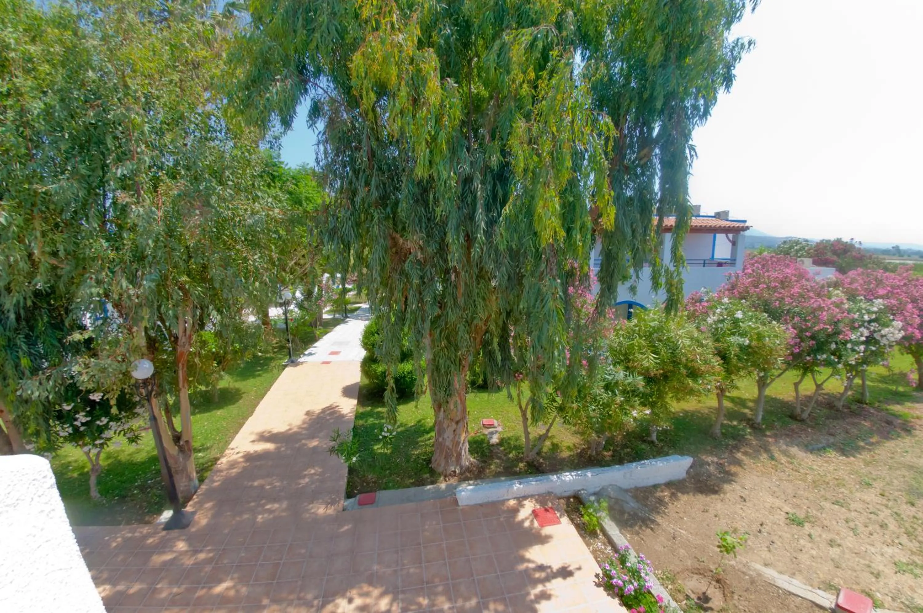 Garden in Hotel Tigaki's Star