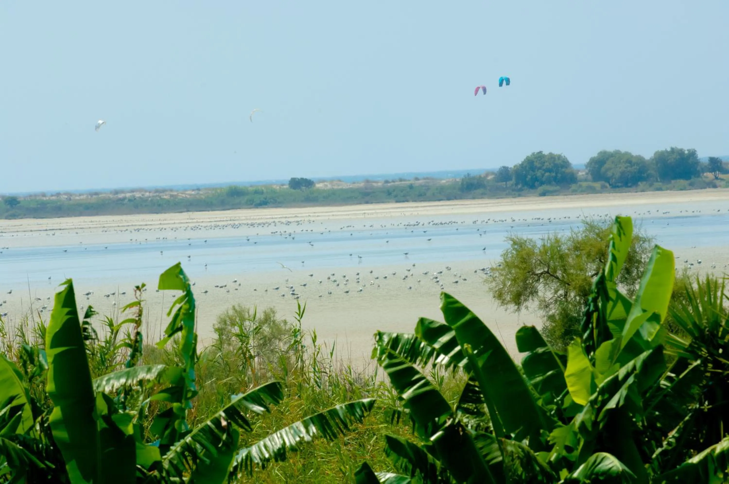 Natural landscape in Hotel Tigaki's Star