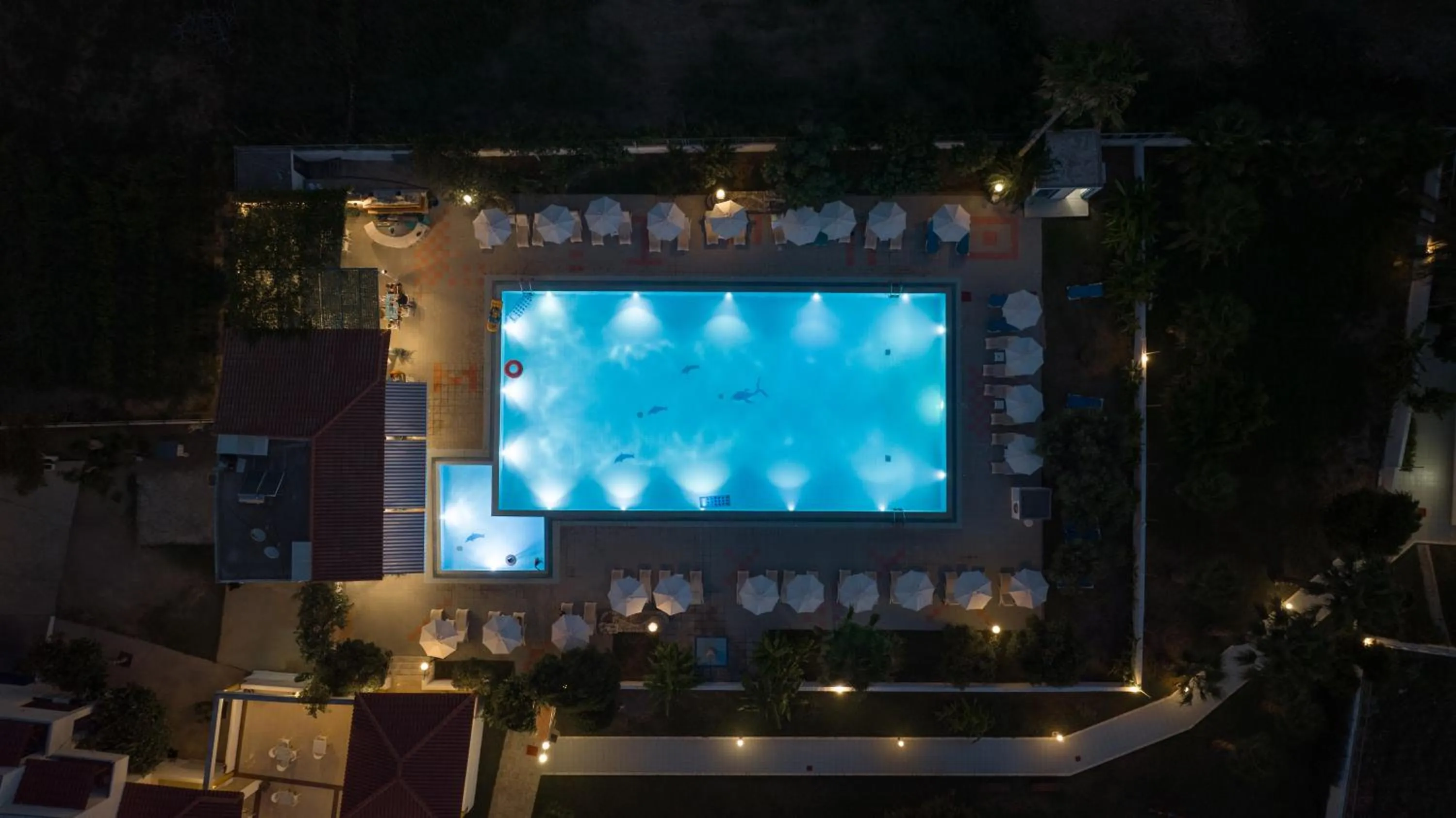 Night in Hotel Tigaki's Star