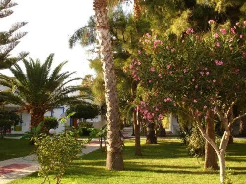 Garden view in Hotel Tigaki's Star