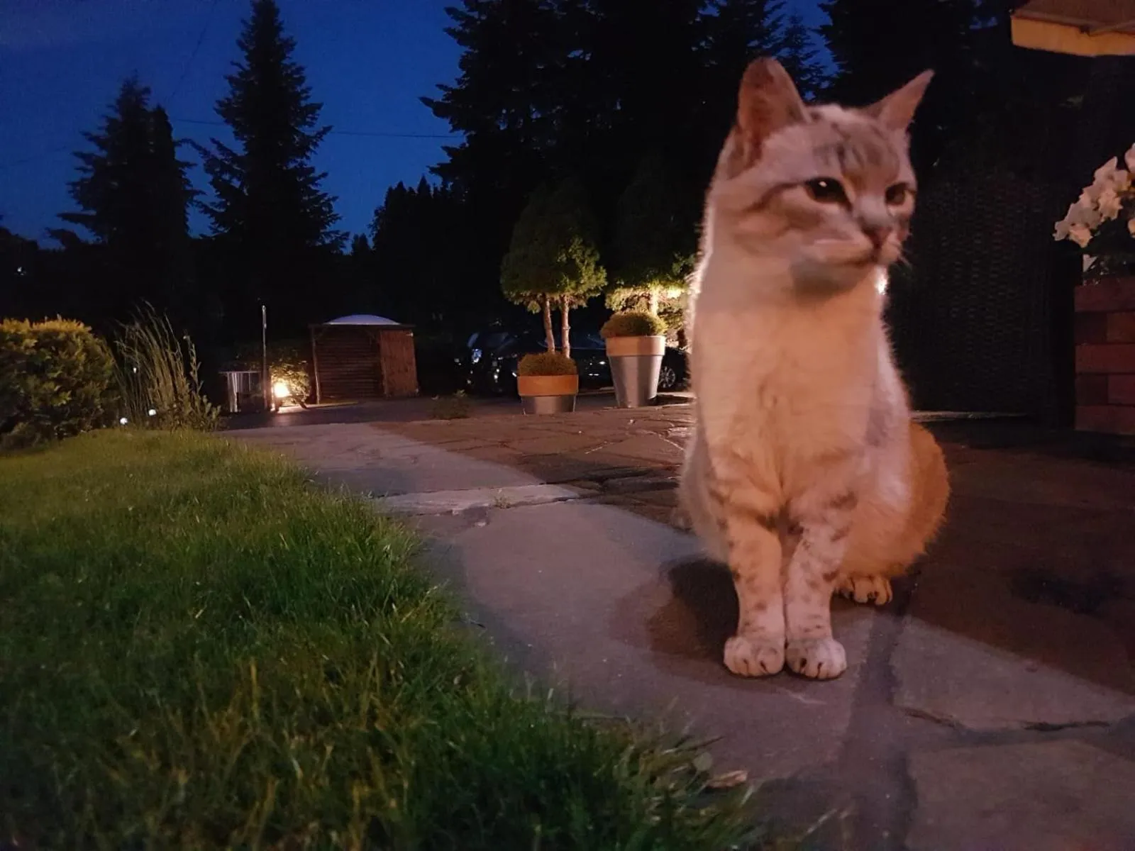 Balcony/Terrace in Irena