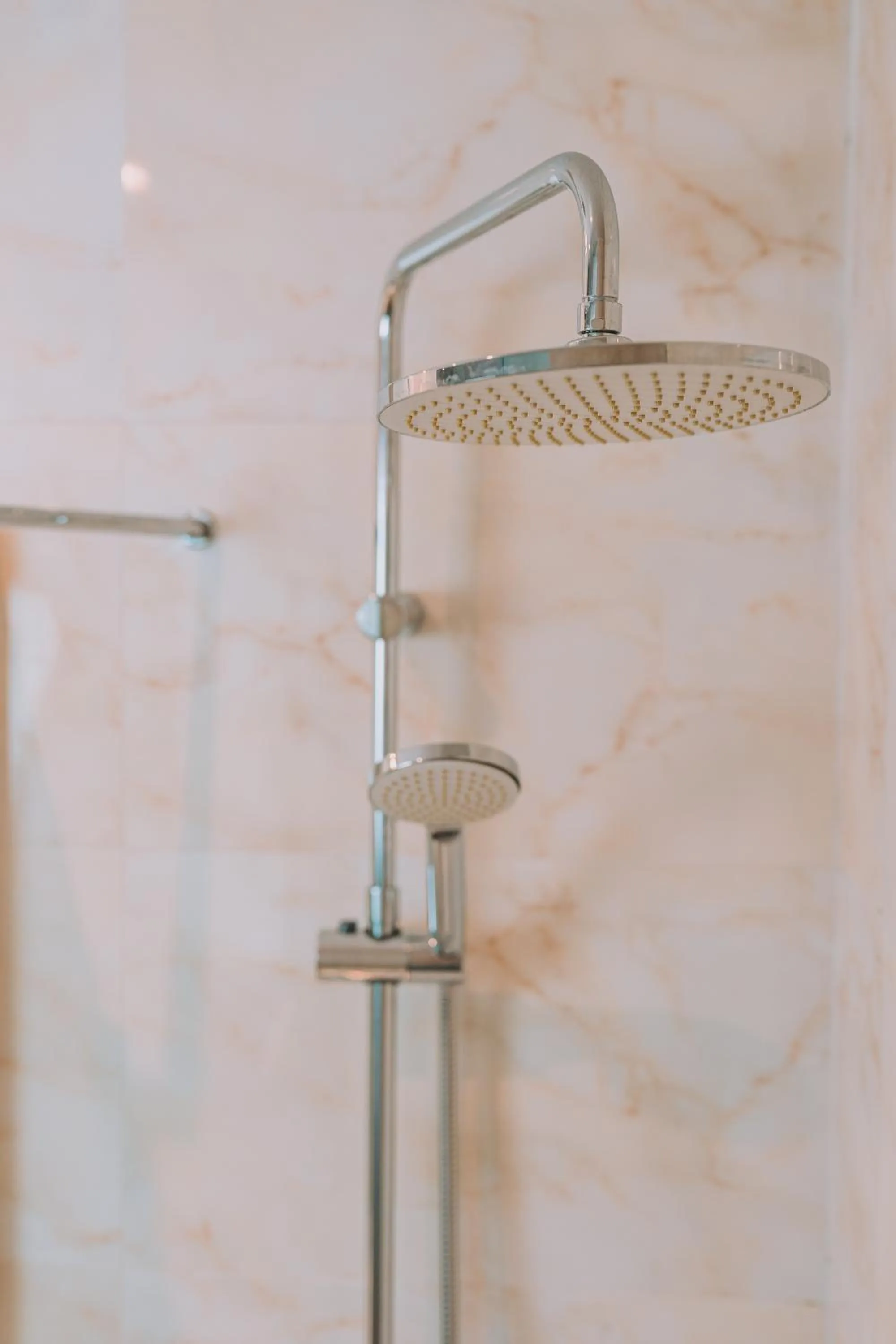 Shower in Chic Hotel