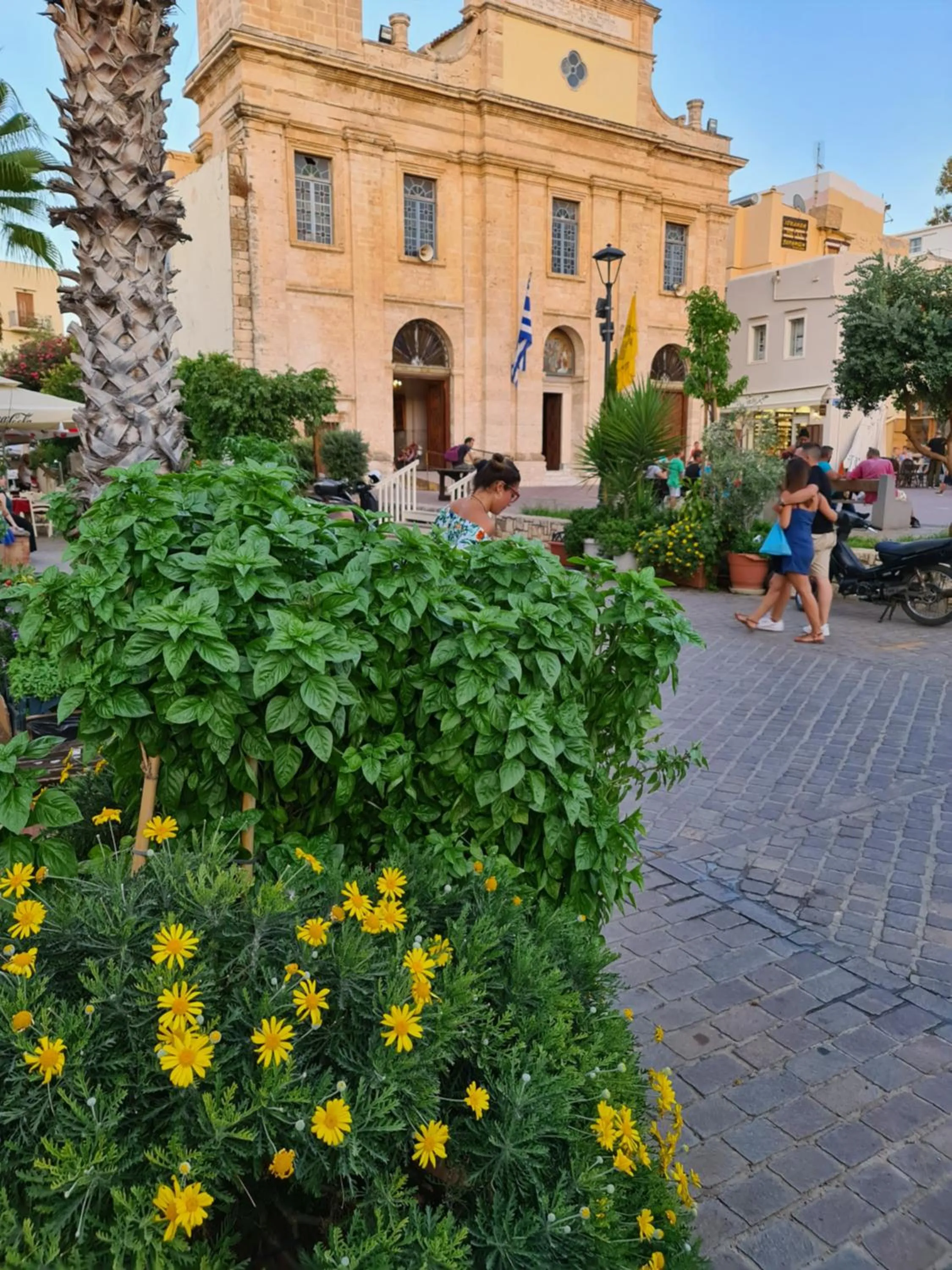 Location in Nikolas Rooms