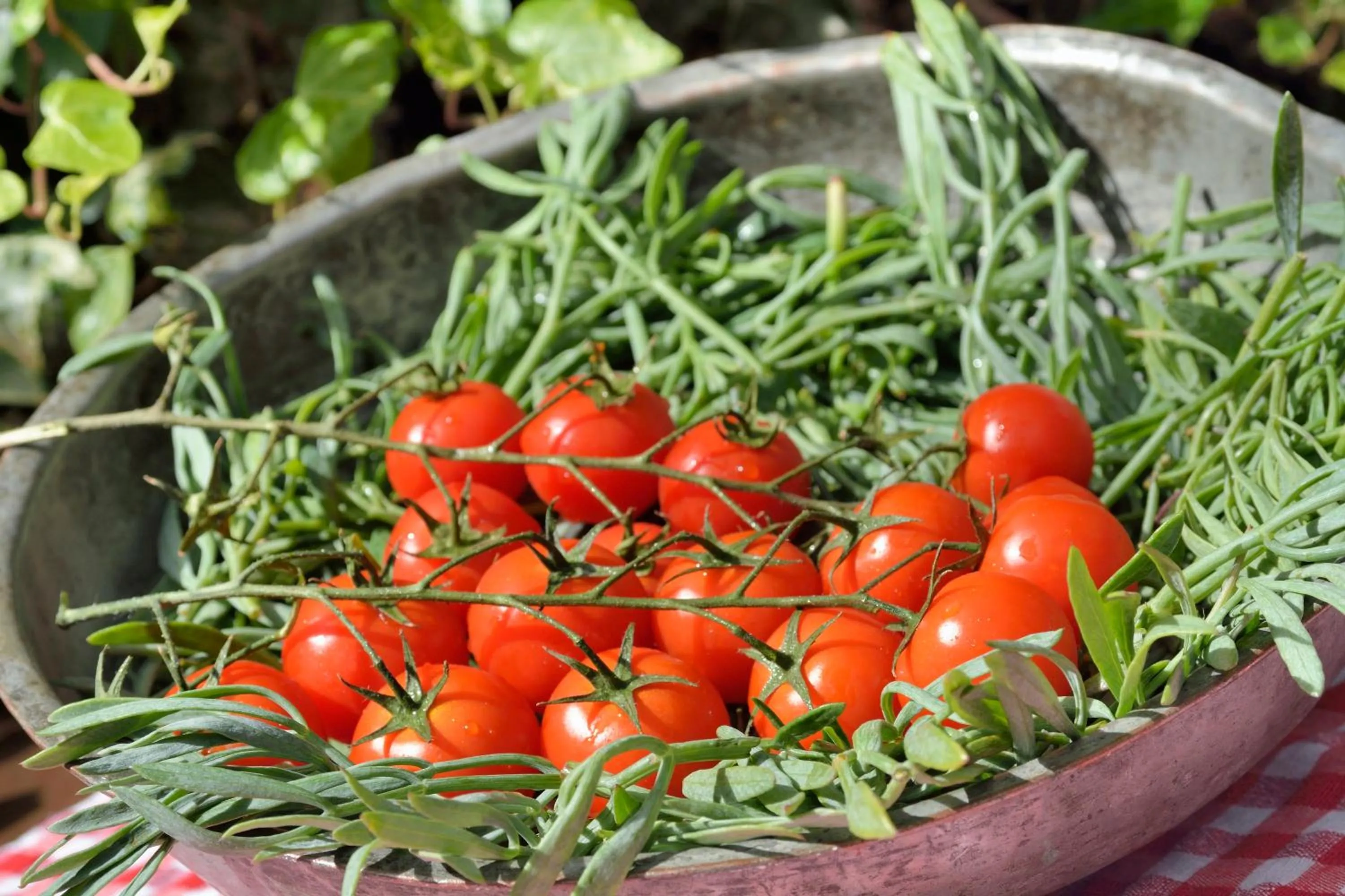 Food in Gastronomy Hotel Kritsa