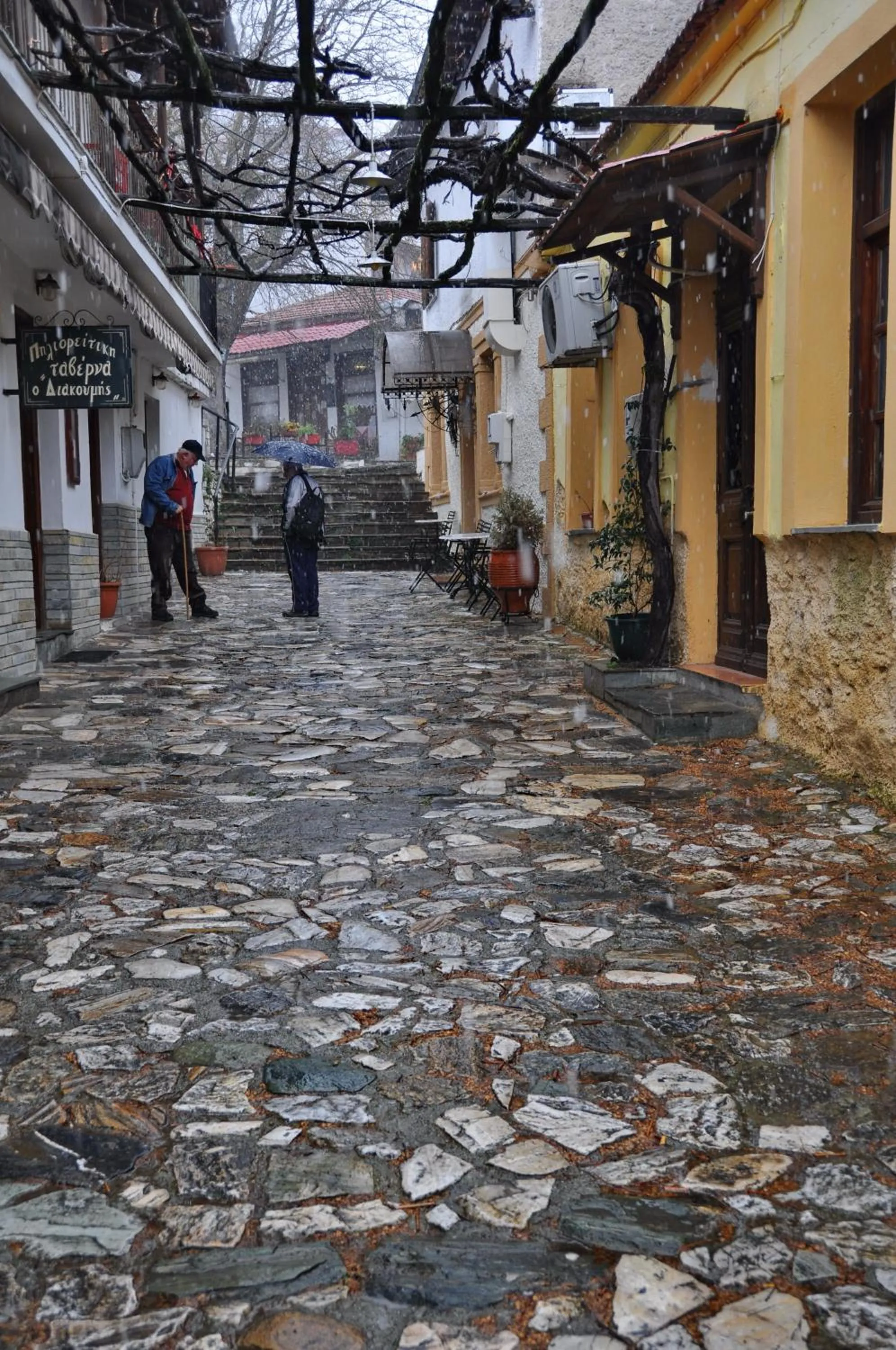 Area and facilities in Pelias Hotel