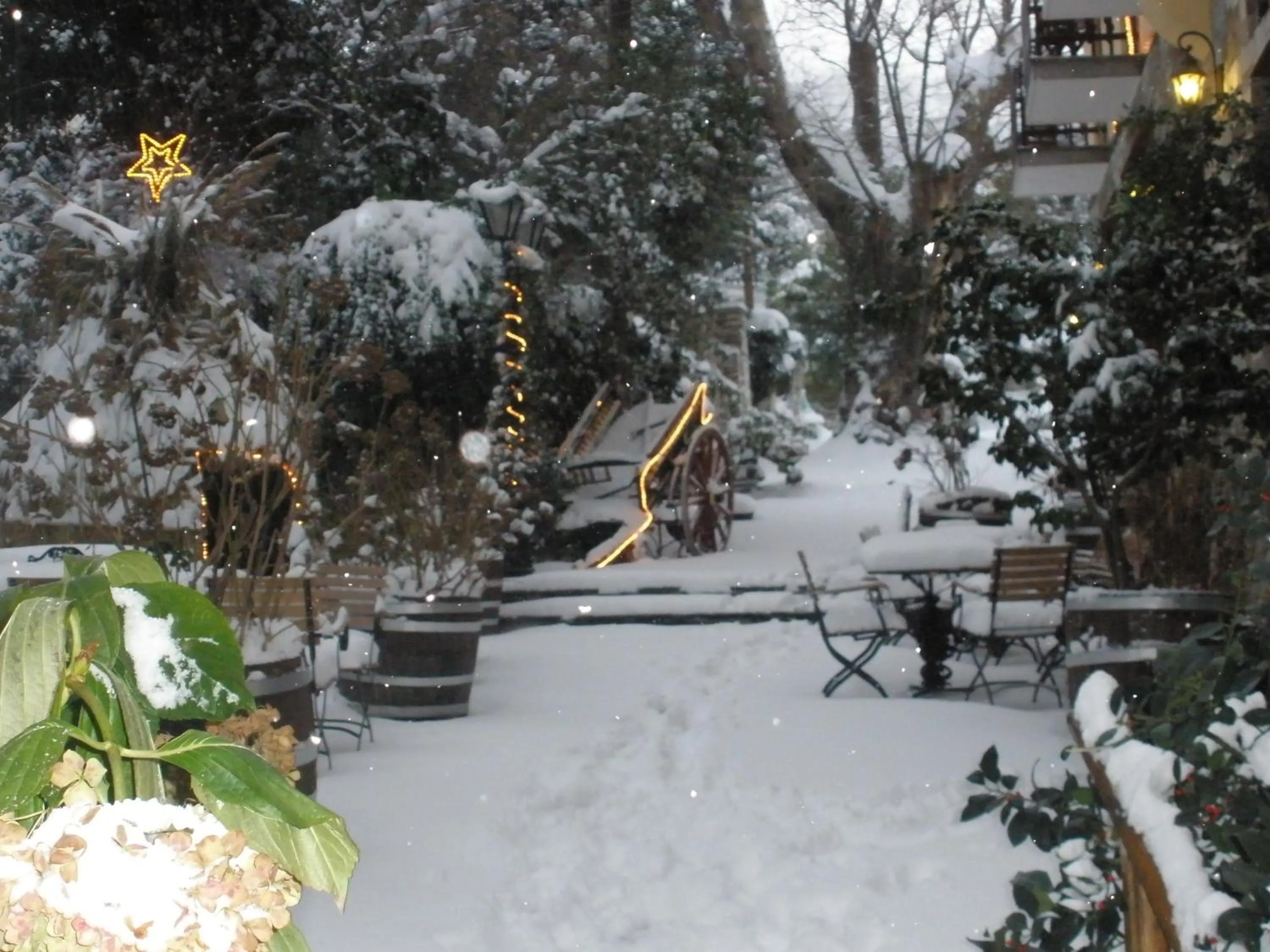 Area and facilities in Pelias Hotel