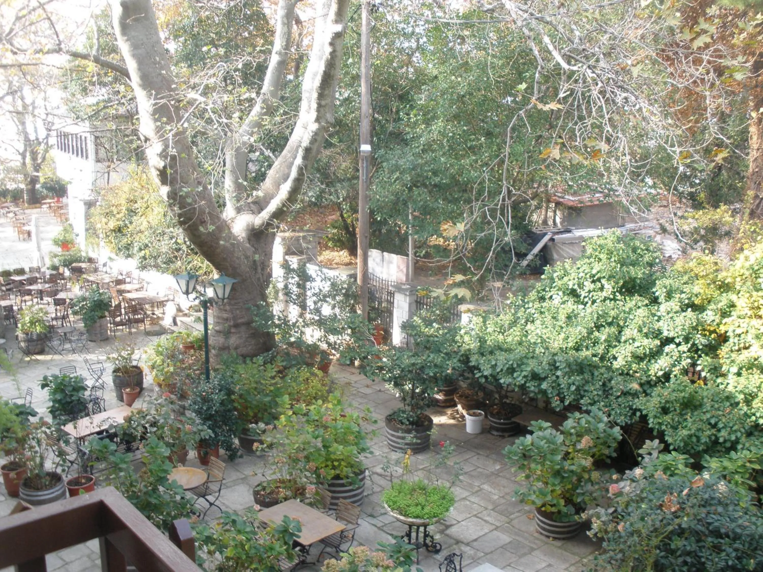 Area and facilities in Pelias Hotel