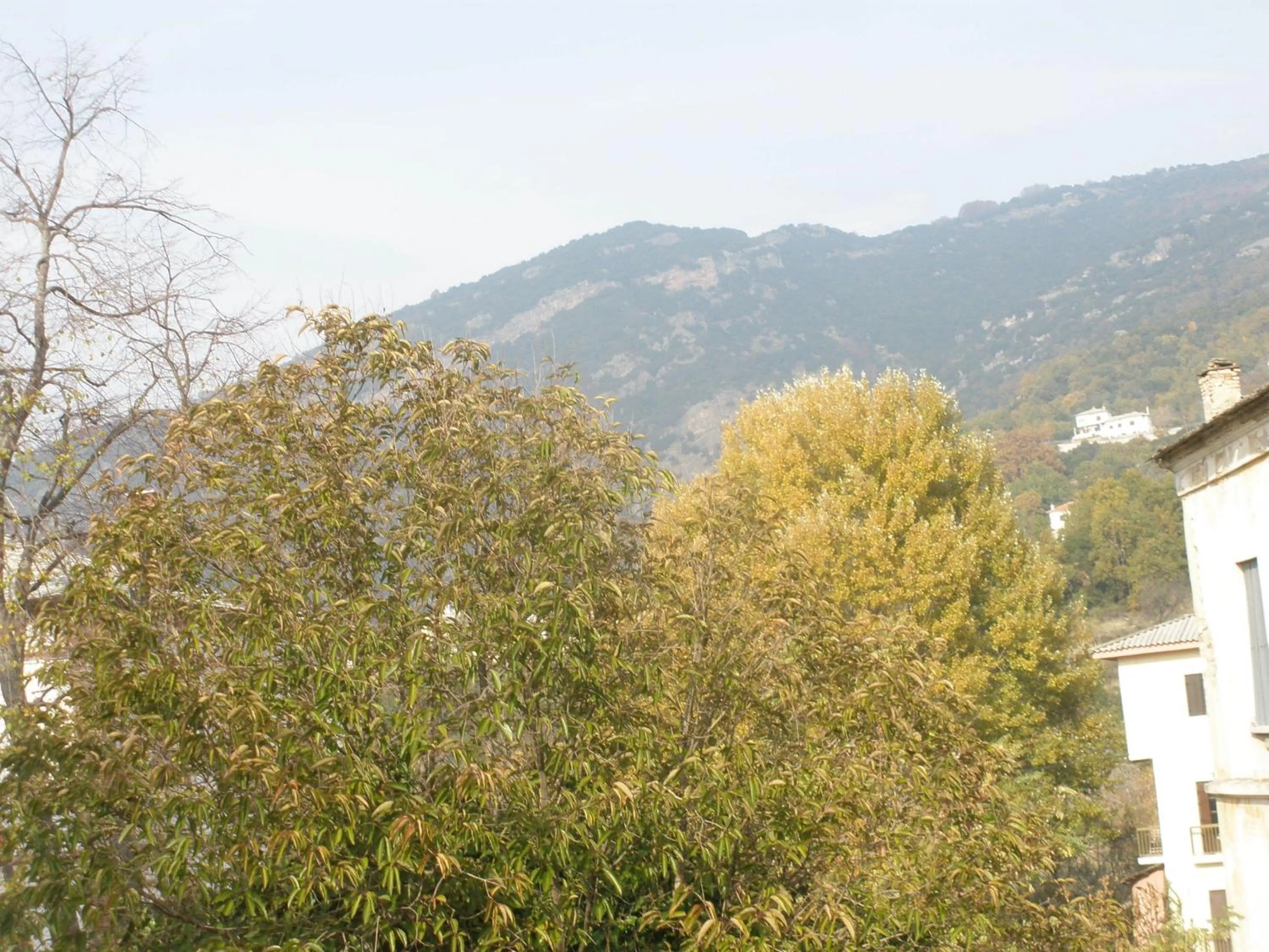 Area and facilities in Pelias Hotel