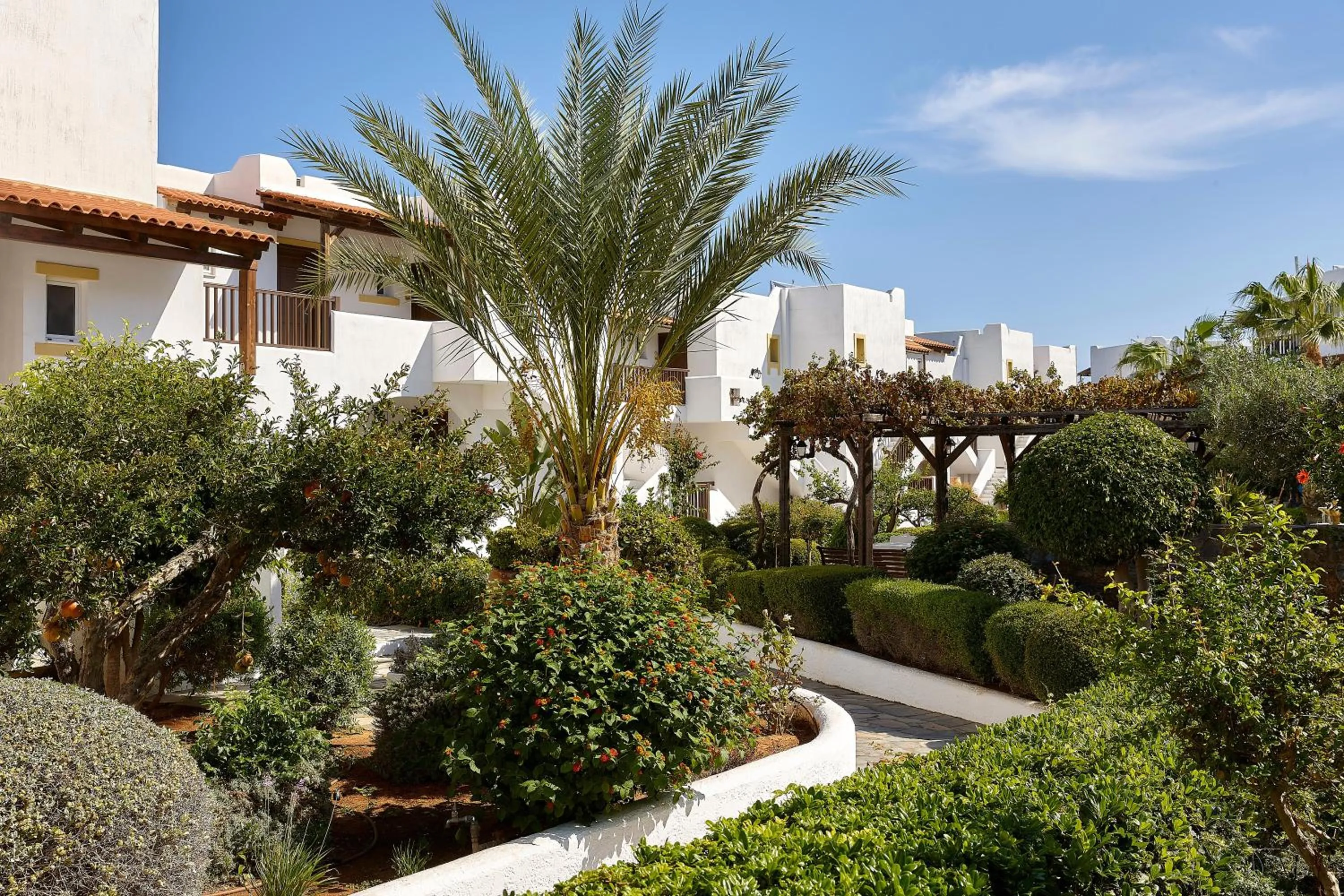 Photo of the whole room in Alexander Beach Hotel & Village Resort